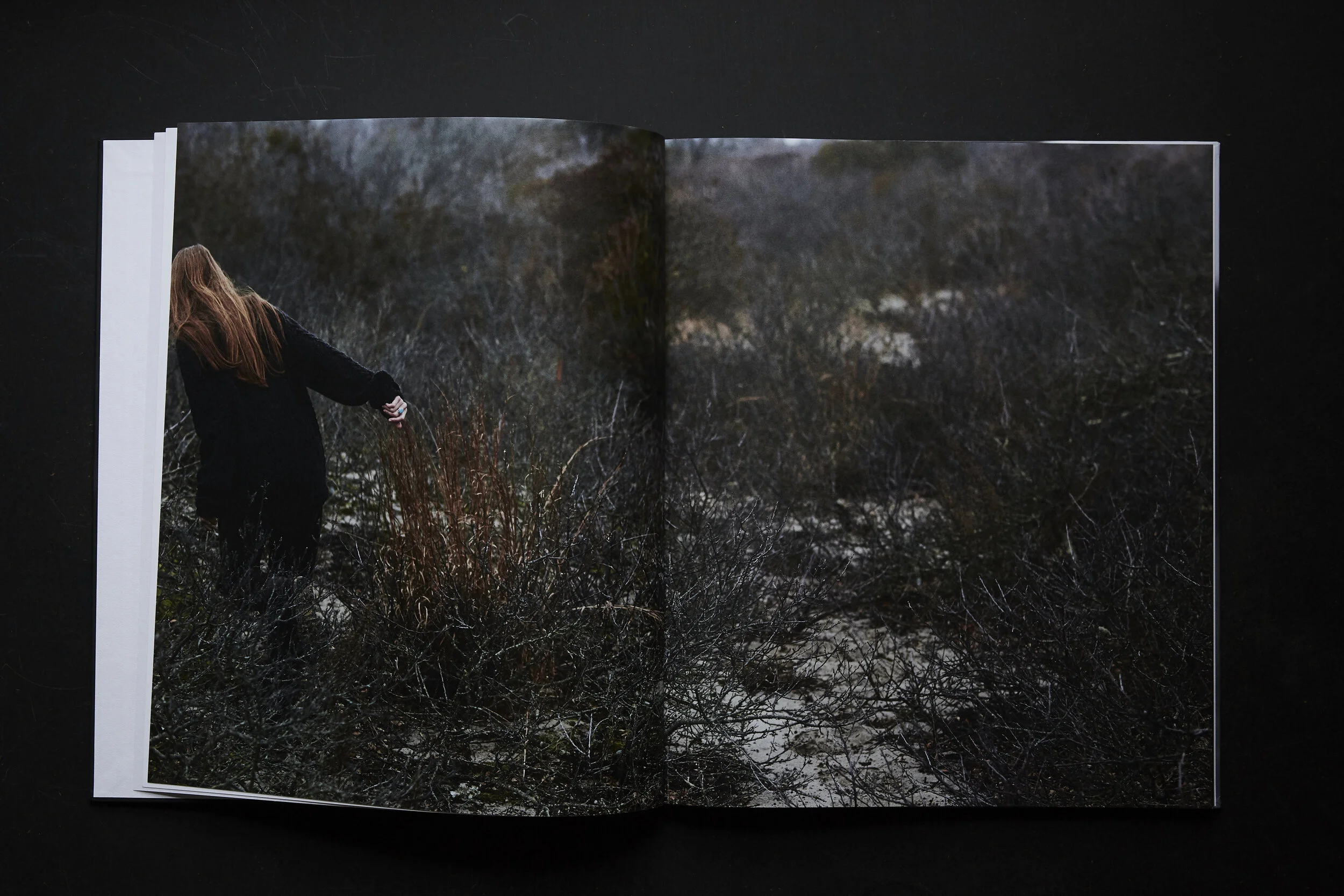 EIDOS_IN ESILIO_(glenallsop)_004.JPG