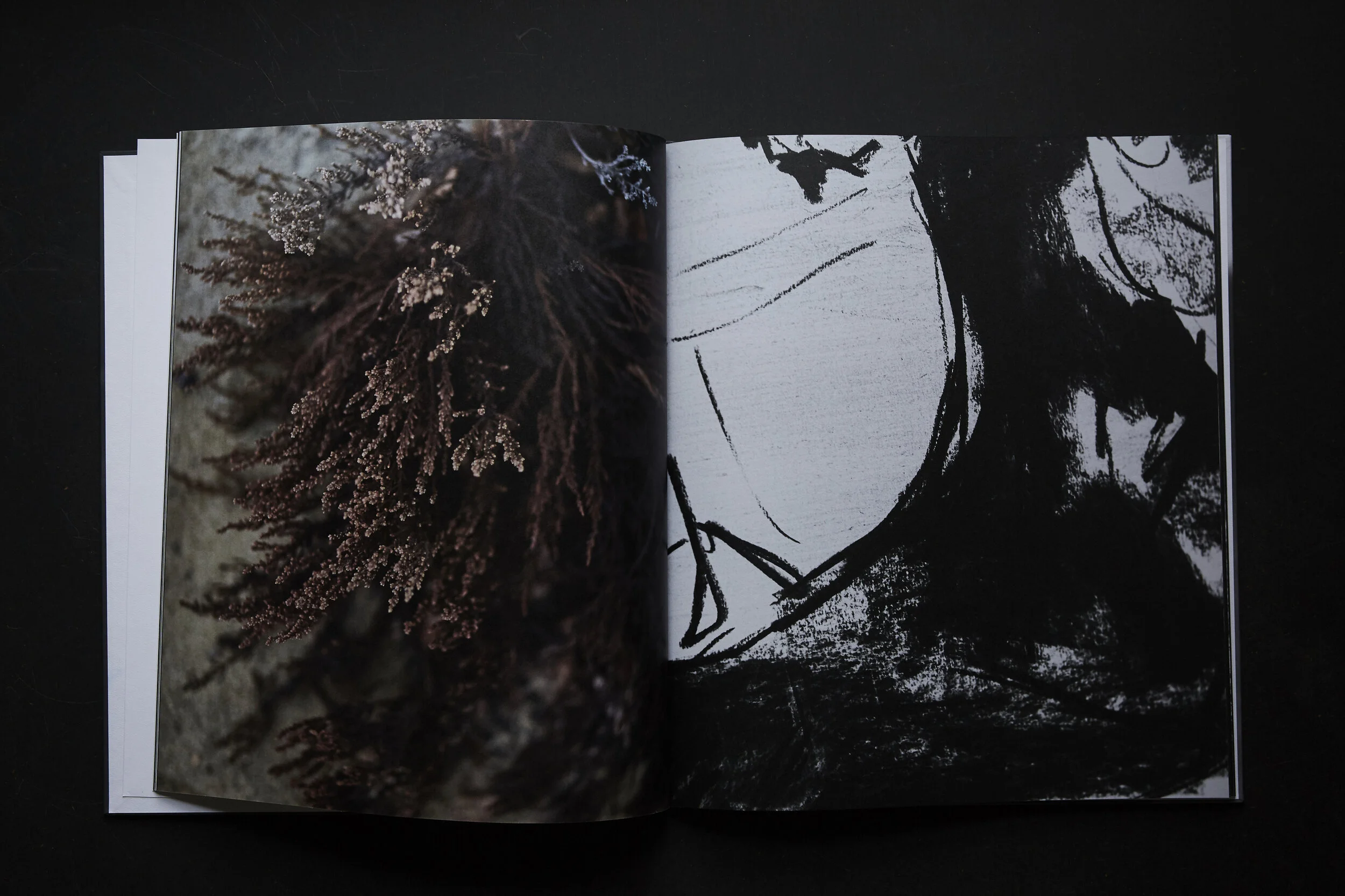 EIDOS_IN ESILIO_(glenallsop)_010.JPG