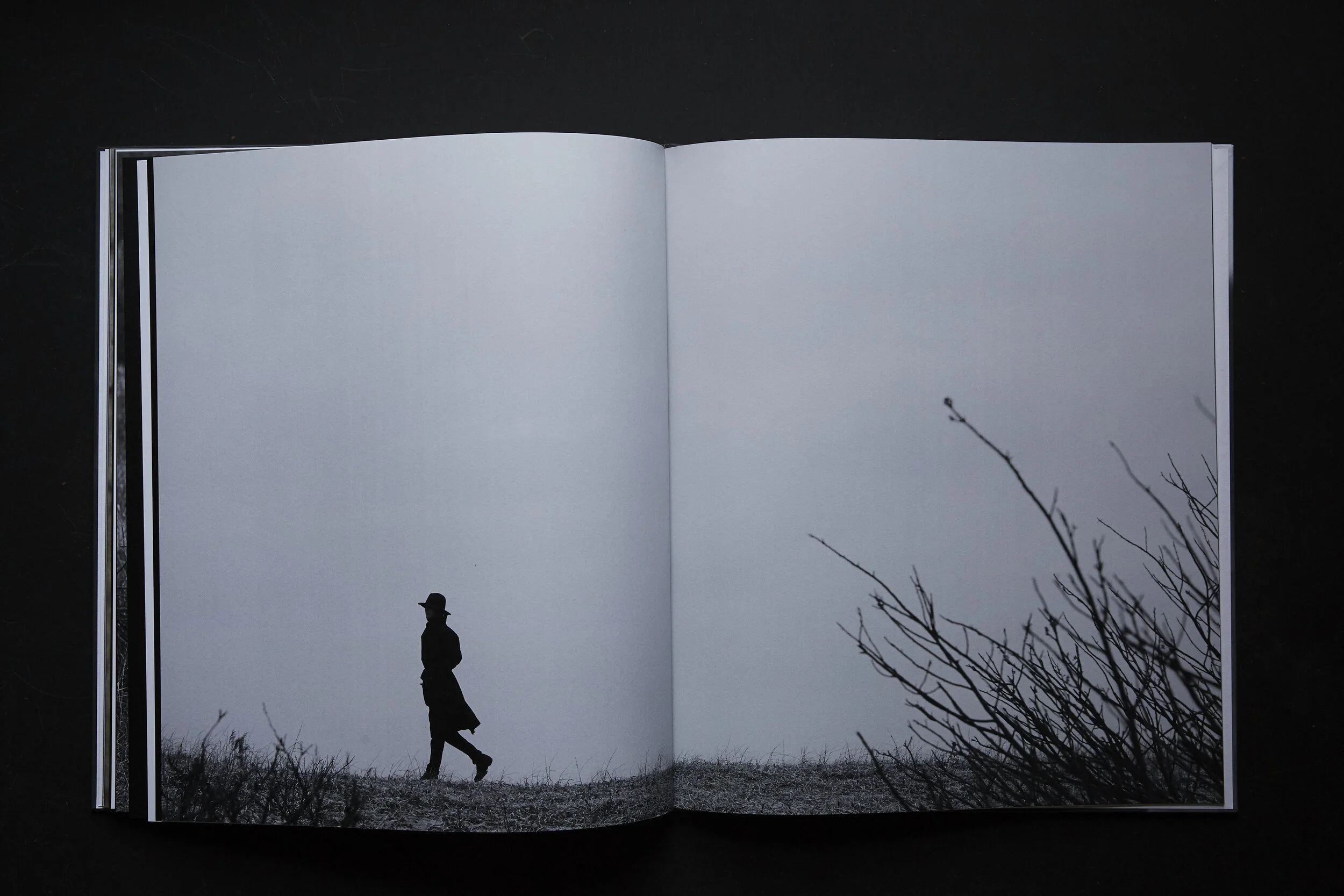 EIDOS_IN ESILIO_(glenallsop)_021.JPG