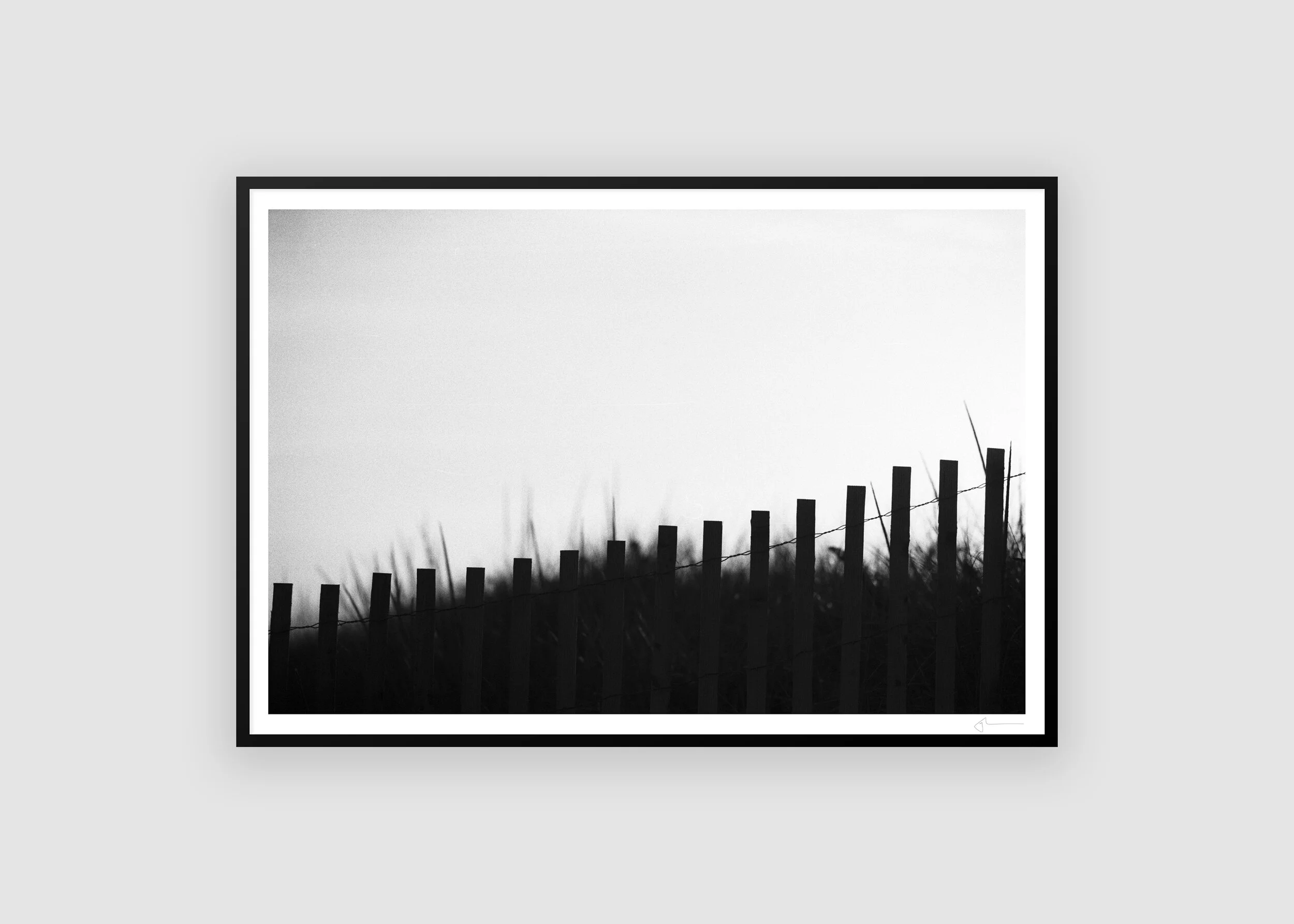 Two Mile Fence.JPG