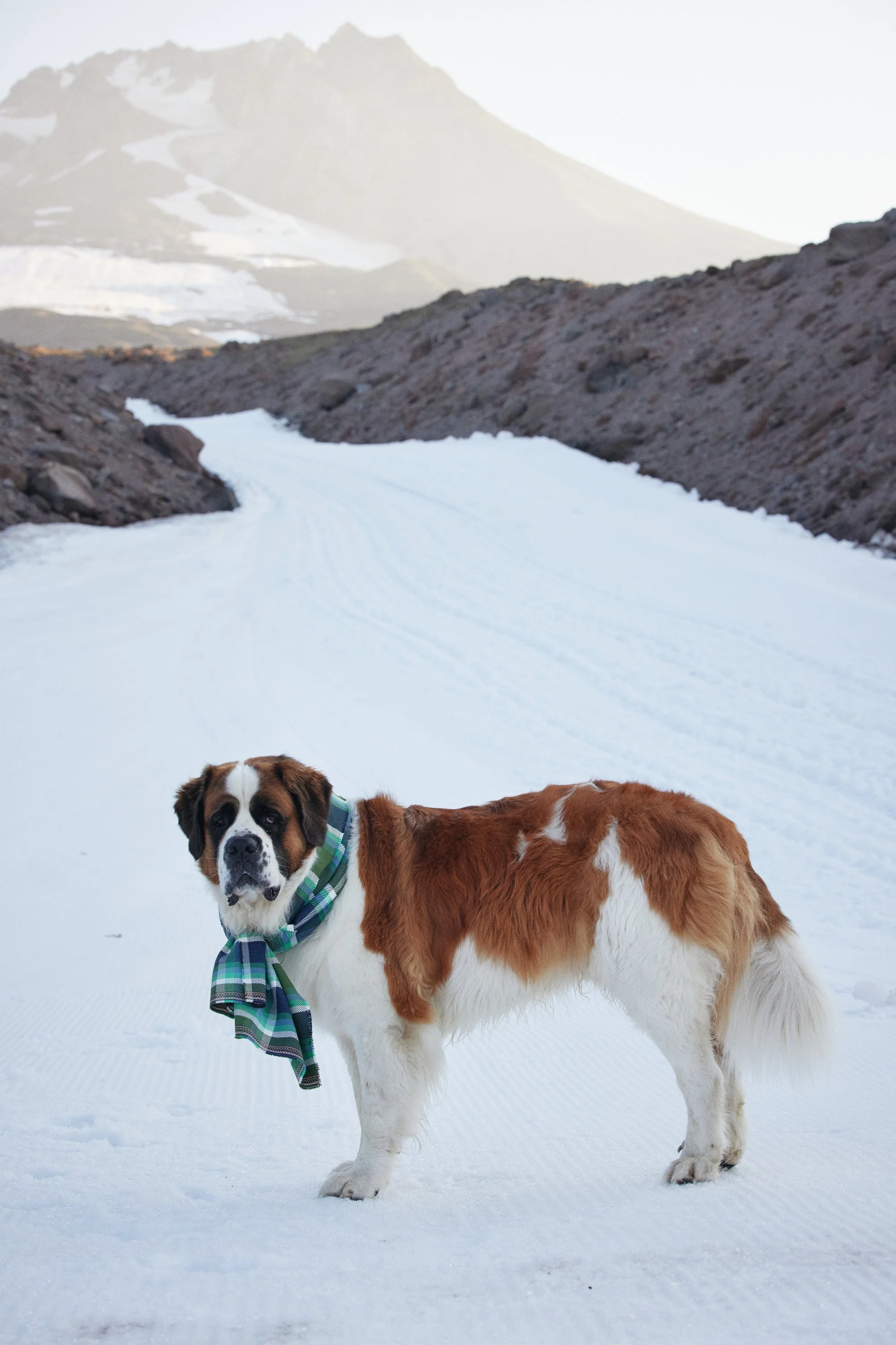 OUTERKNOWN_timberline_wintercampaign_(glenallsop)_009.JPG