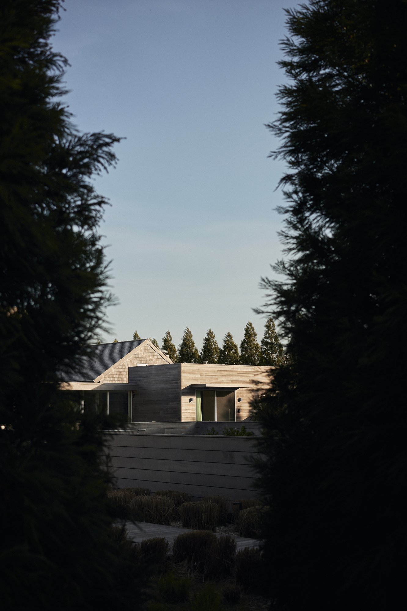 230420SHOUSUGI_(glenallsop)_014.JPG