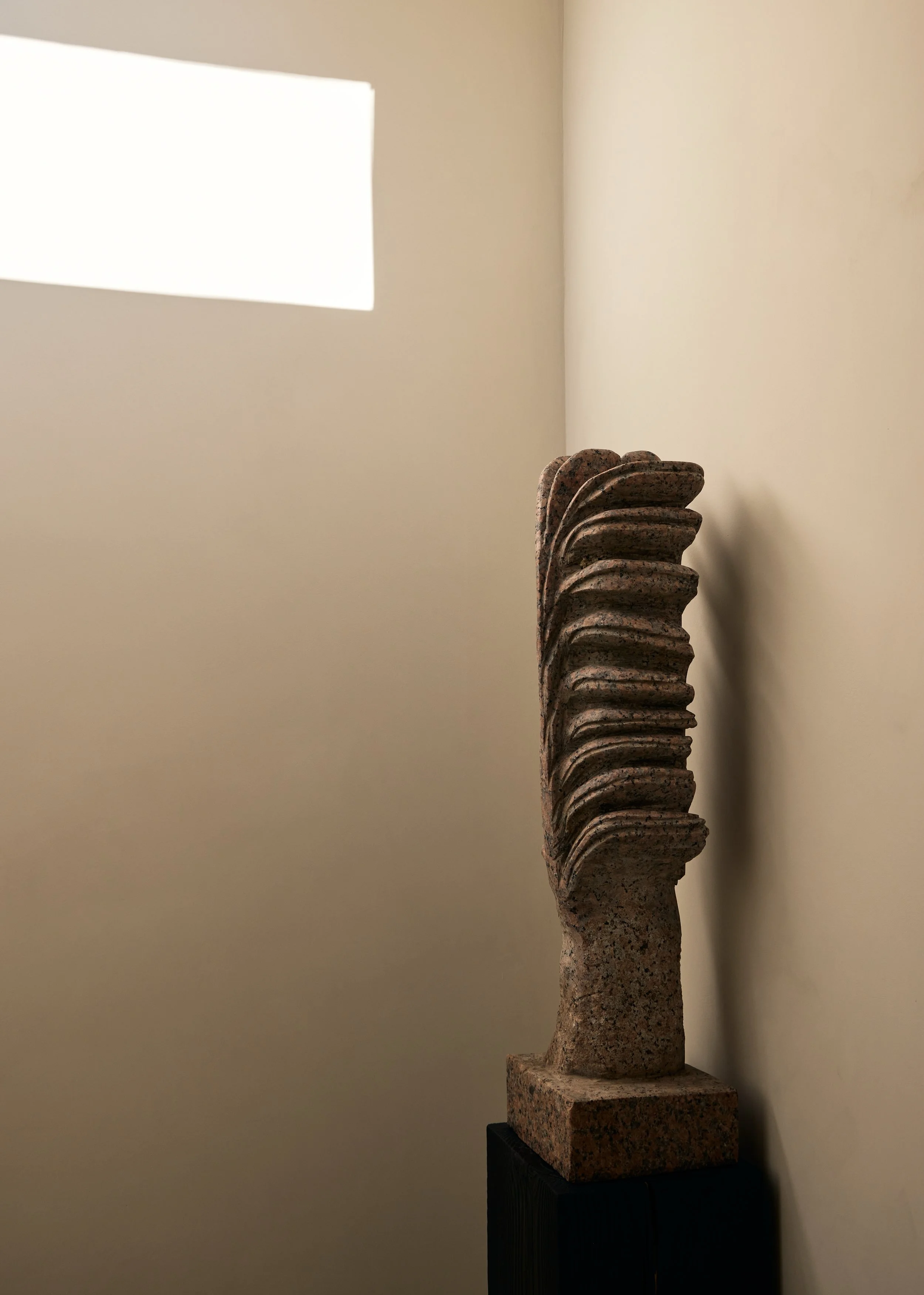 260205_WEPLUSDESIGN_SUNNYSIDE_(glenallsop)_004.JPG