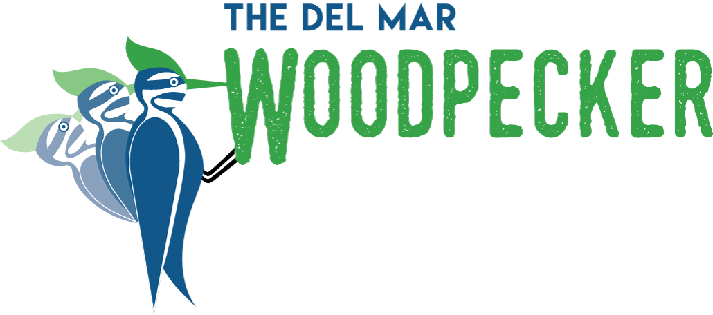 Supporting positive change in the best interest of the entire Del Mar Community. - Moving Del Mar Forward