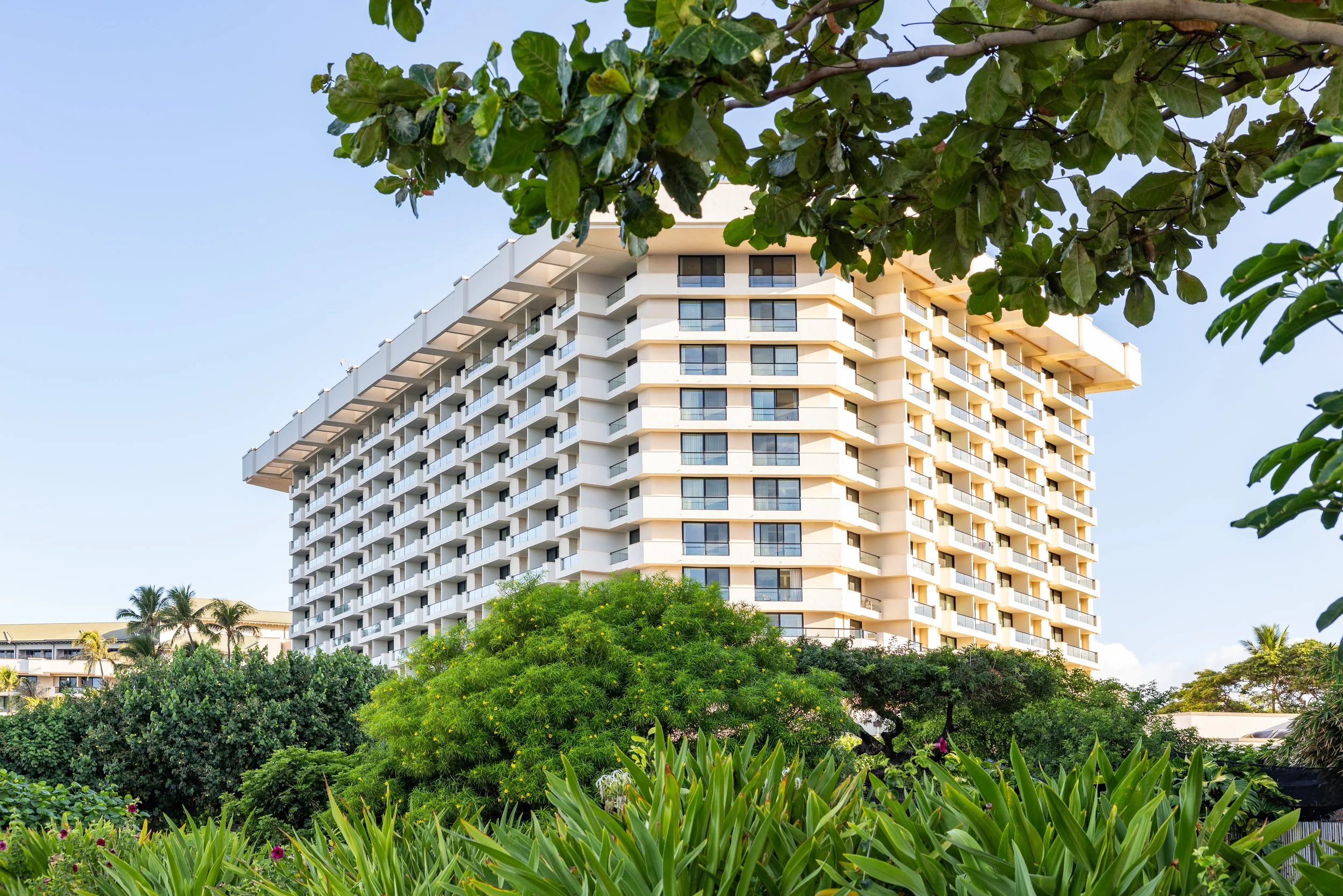 EmilyKeeney-HyattRegencyMauiAug2025-37.jpg
