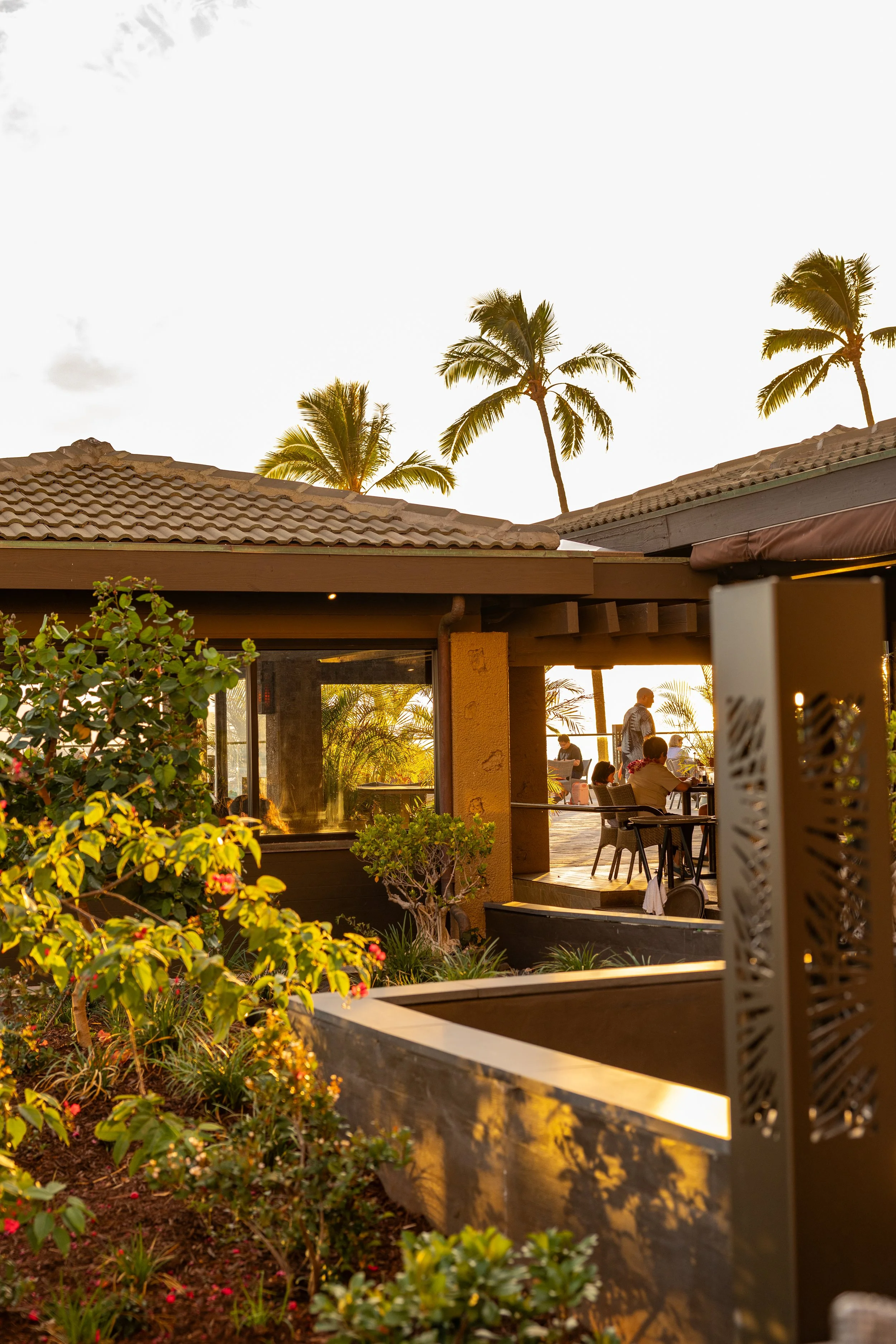 EmilyKeeney-HyattRegencyMauiAug2025-230.jpg