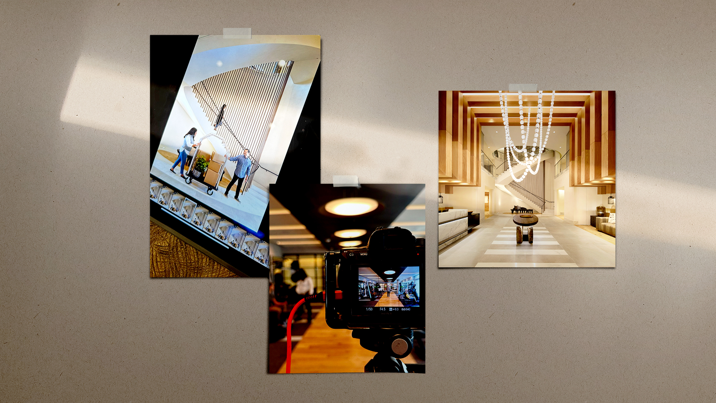 noel david carson cover4.png