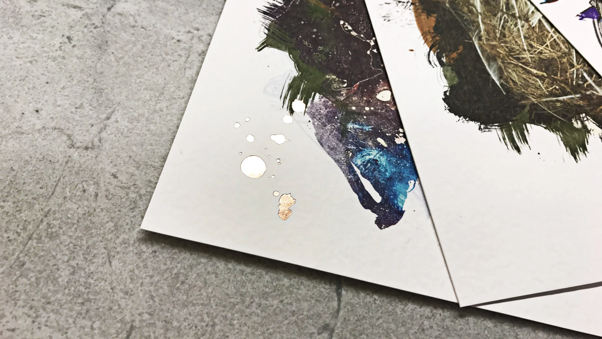 Campaign_Port 2016 elevate_Page_11.jpg