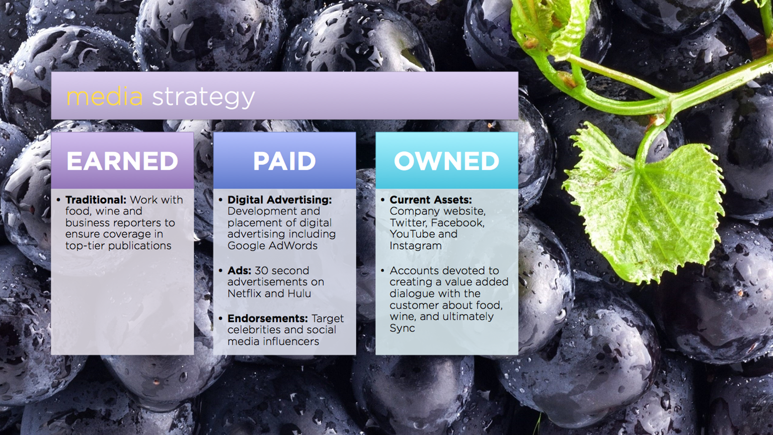  Sync Communications: Media Strategy (Earned, Paid, Owned)