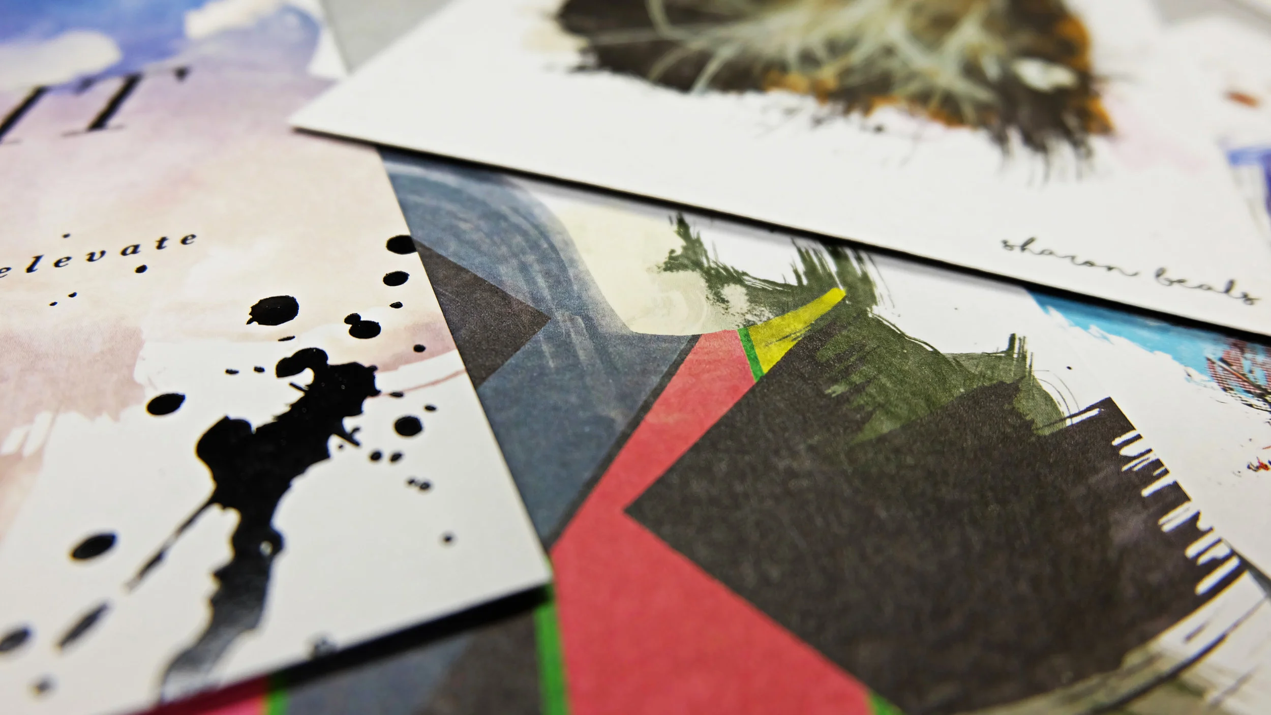 Elevate Campaign_Noel David Carson723.jpg