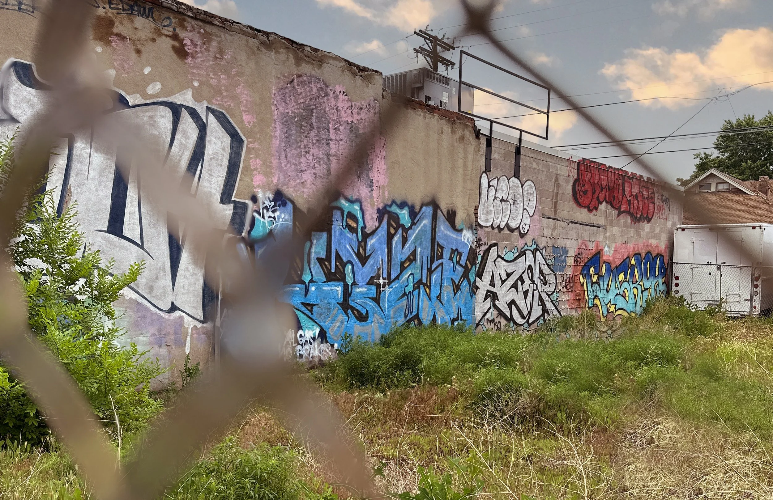 RHINO_CarsonN 11 X 17.jpg