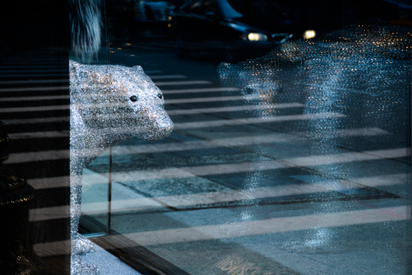 New York City, Roberto Cavalli Christmas Window Reflection
