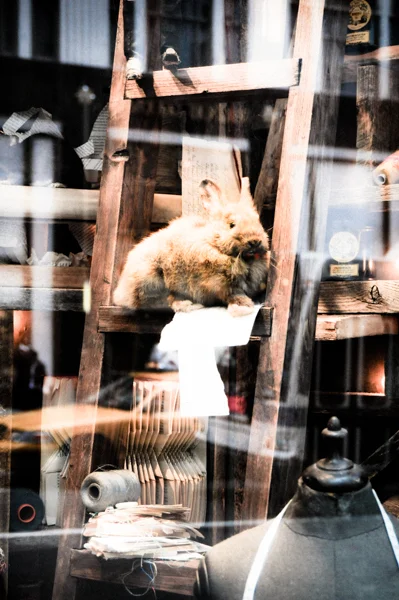 New York City, Bergdorf Goodman's Fall Window Reflection #1
