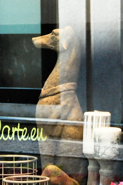 Verona. Lofficina della Arte Window Reflection