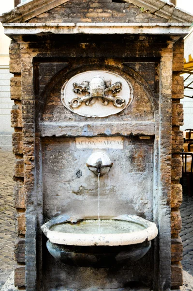 Rome. "Fontana" with Vatican Symbol