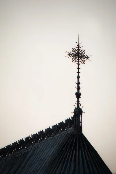 Paris. Notre Dame Steeple