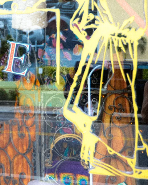 Sarasota. Tortoise & Pearl Window Reflection #2