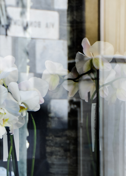 Lake Como. Panne Tulipani Window Reflection