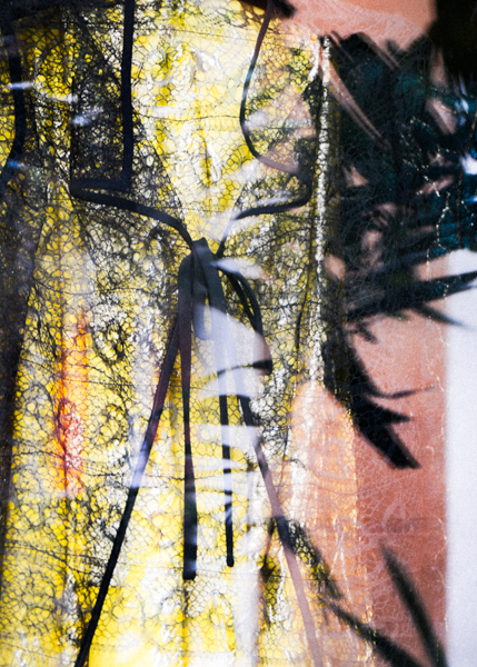 Palm Beach. Van Lear Window Reflection #2