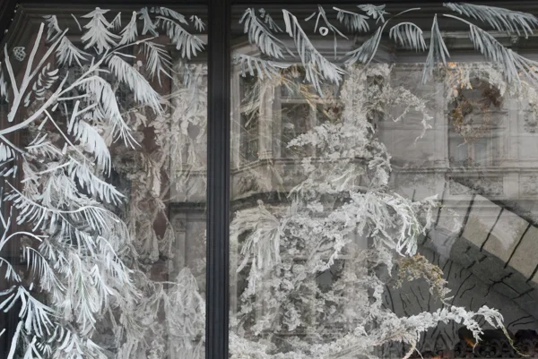 New York City. Ralph Lauren Window Reflection