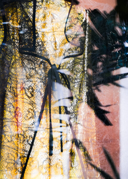Palm Beach. Van Lear Window Reflection #2