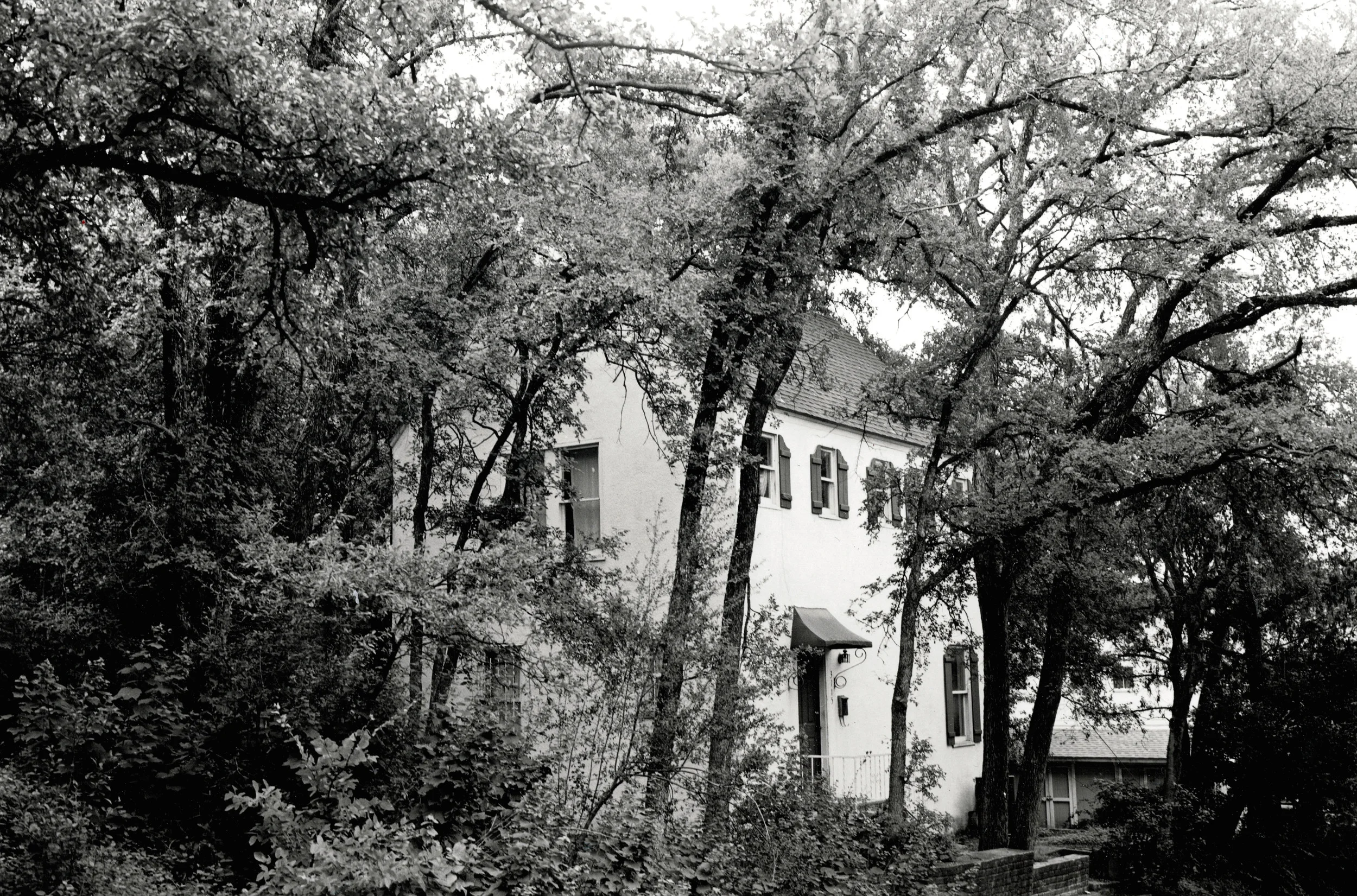 House in the Woods.jpg