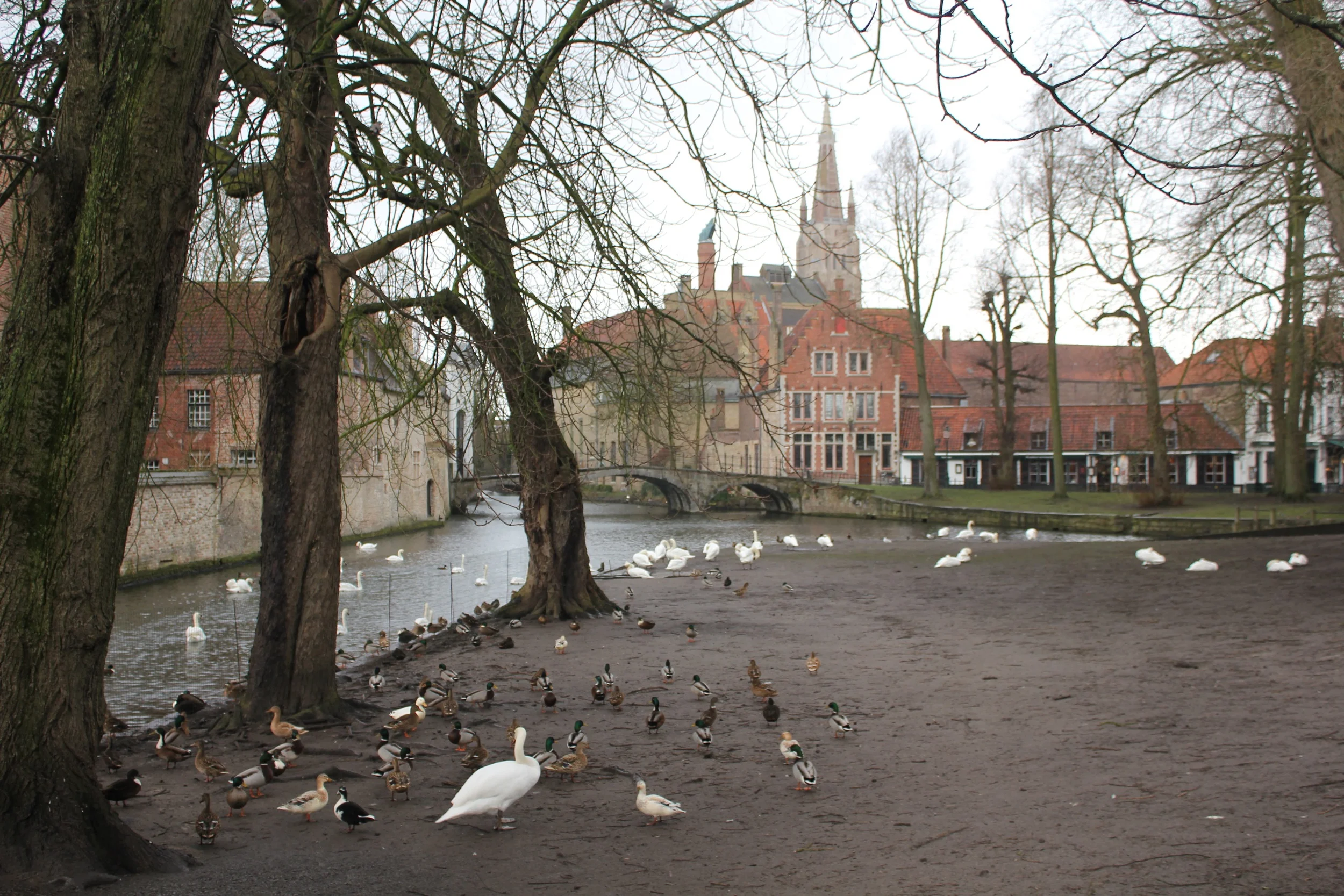 Brugge, Belgium