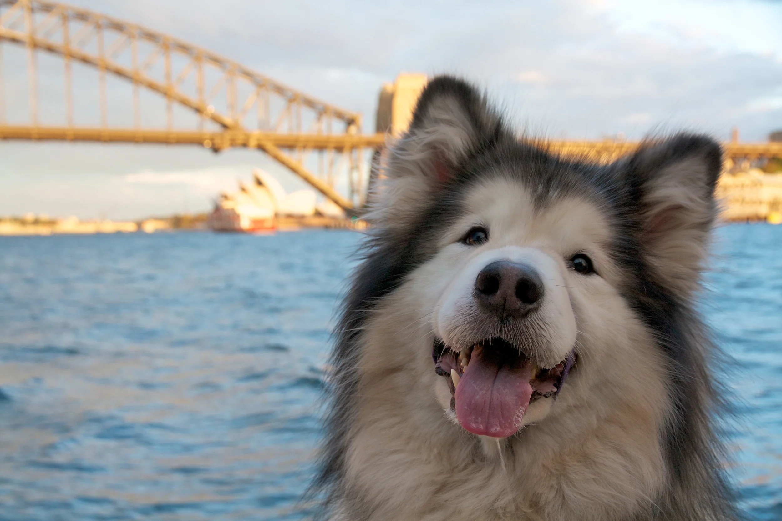 Elly is a natural model.jpg