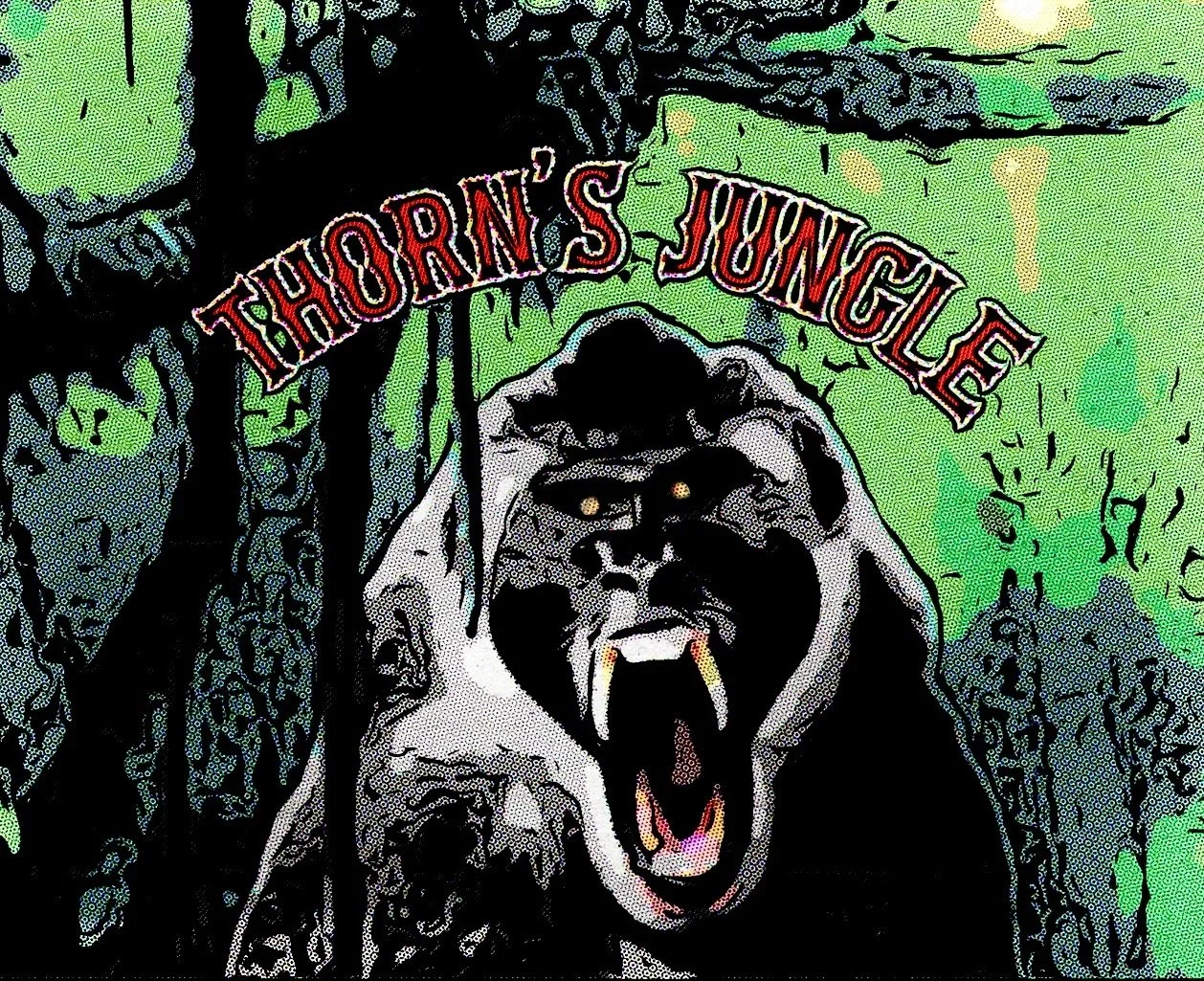 Ep 35- Rob and Adam Talk Africa! PART 2 episode artwork