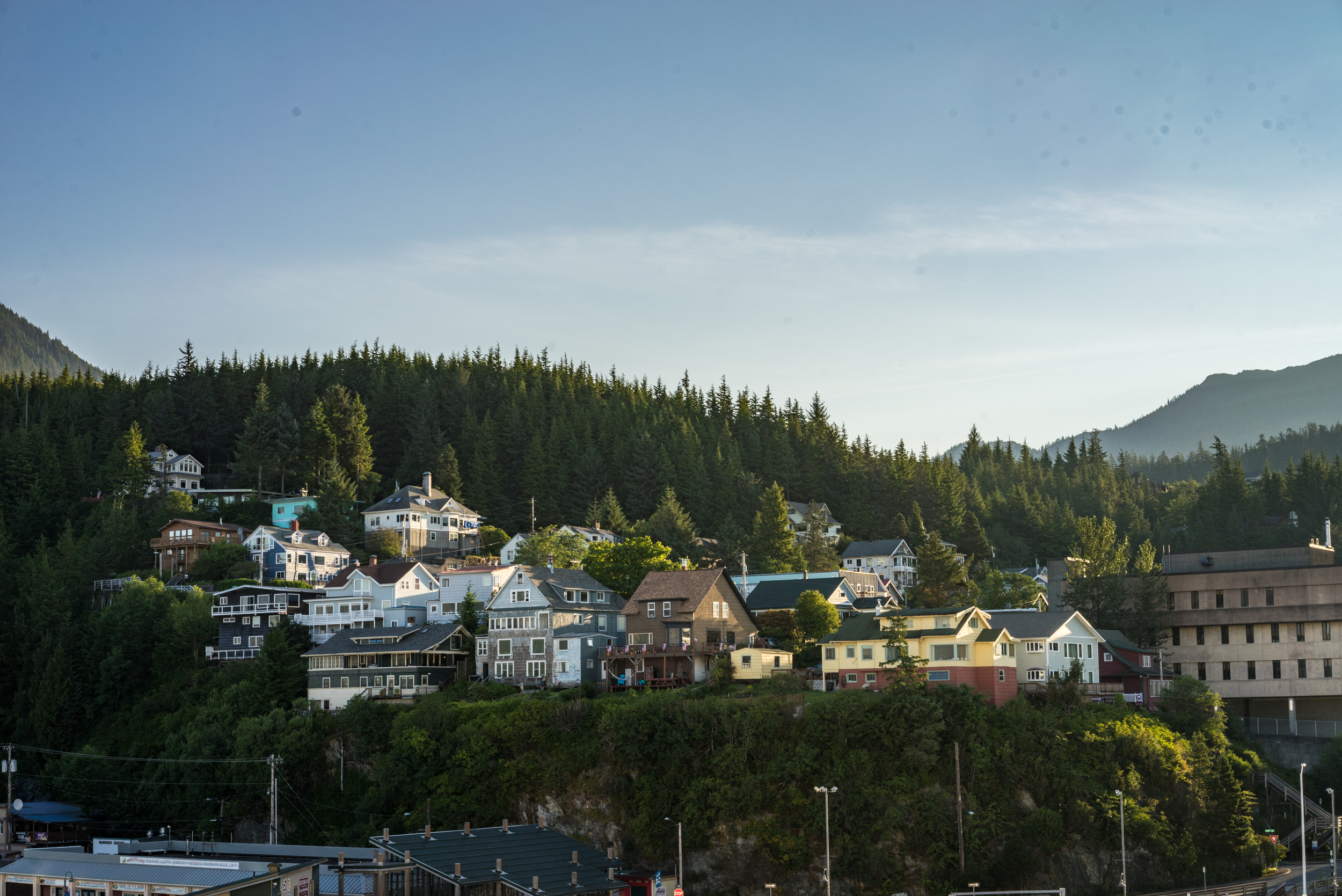 _DSC3397.jpg