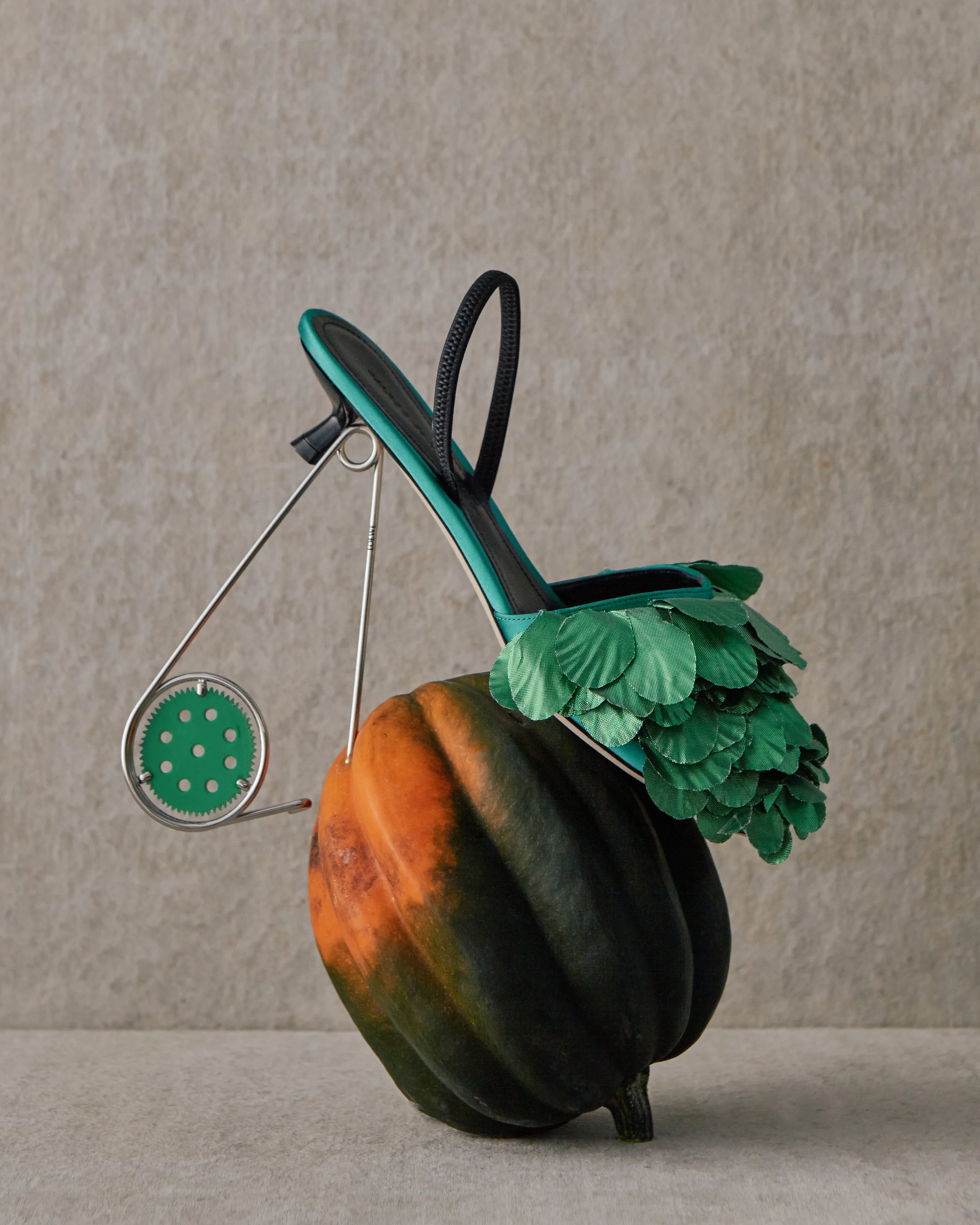  Photography: Brooke Shanesy 