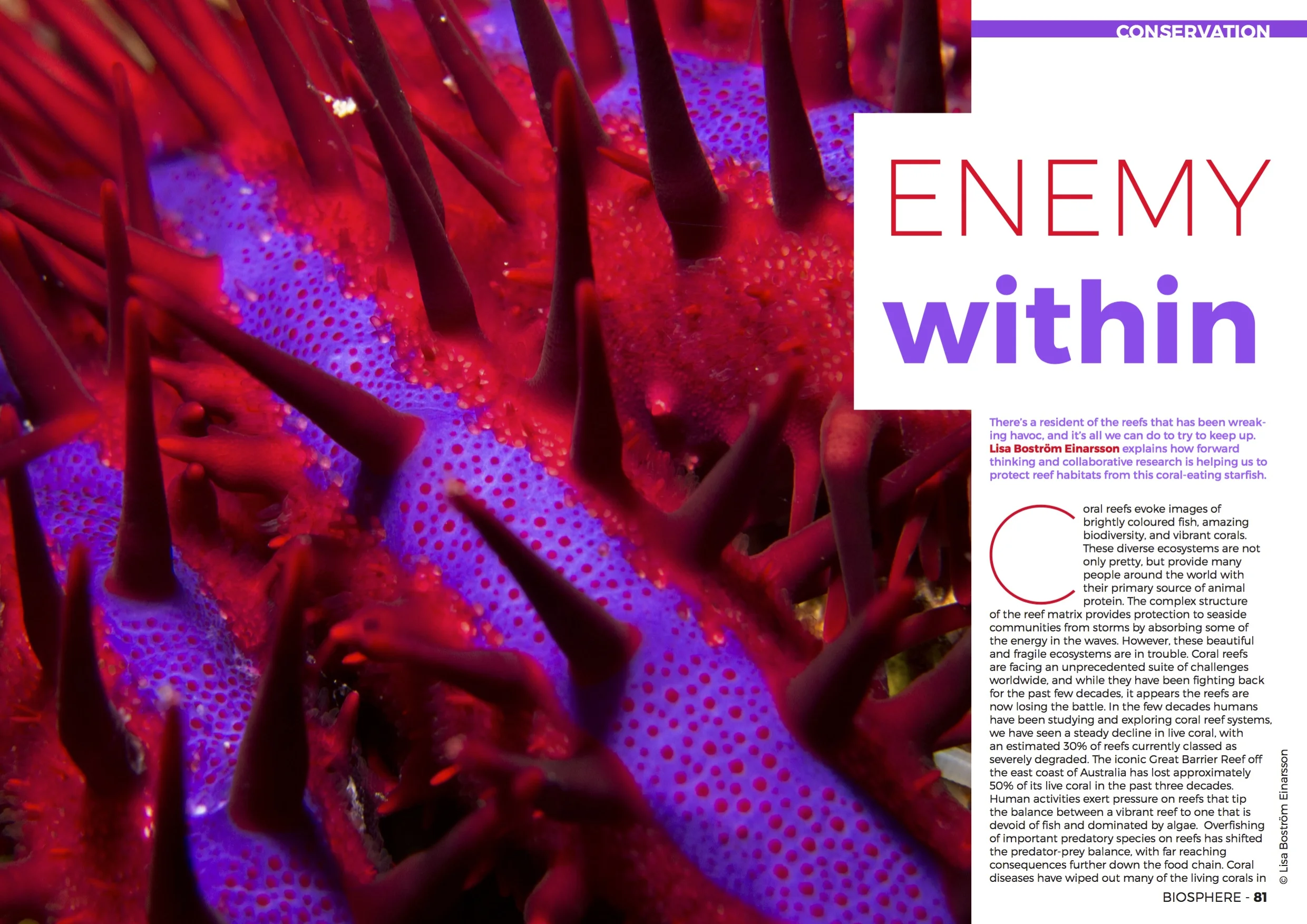 Biosphere Magazine no. 11, October 2015