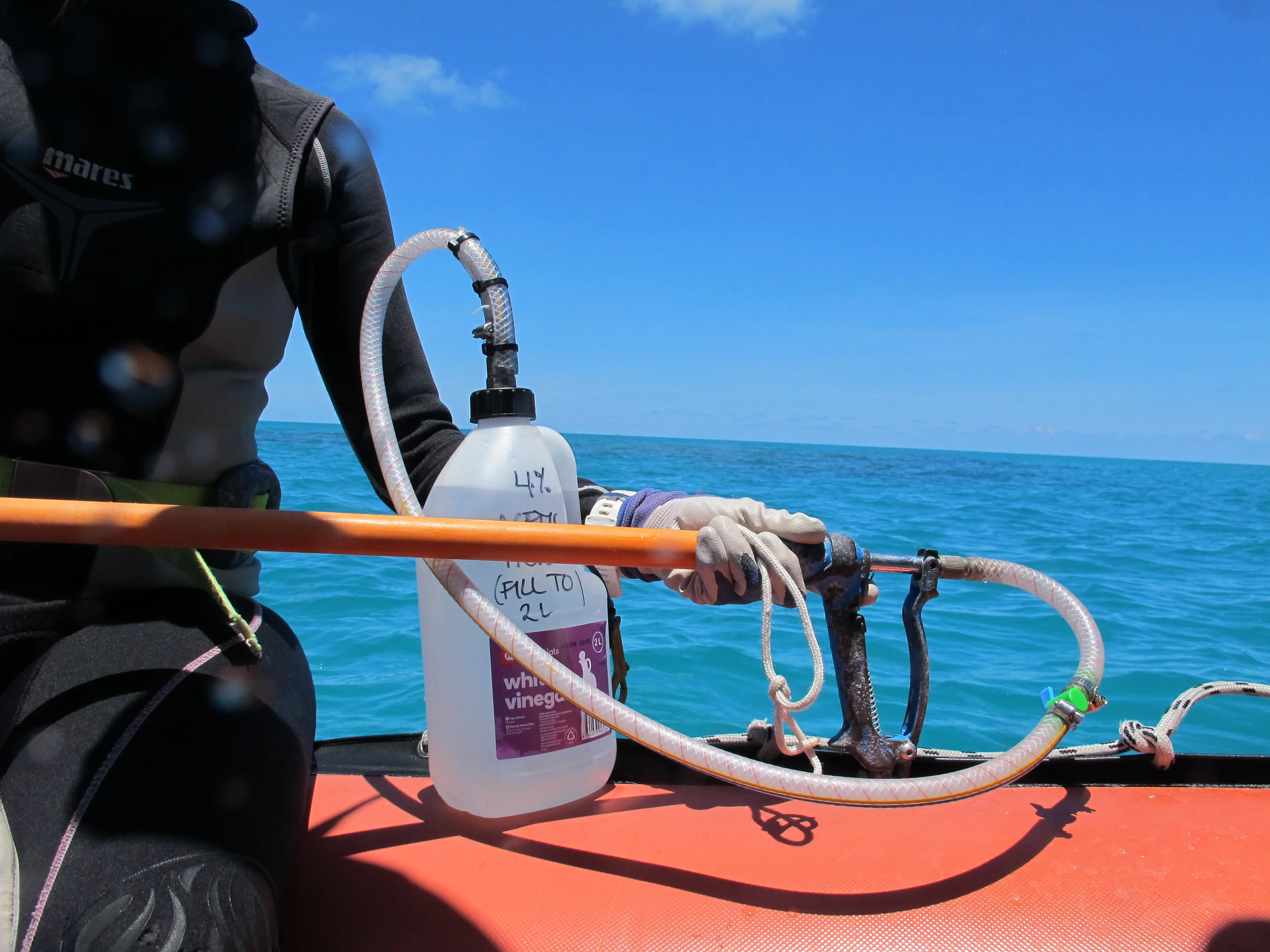 Some injection guns and fittings can be attached directly onto a 2L household vinegar bottle purchased at Australian supermarkets. This is useful for smaller control efforts where 5L of vinegar will not get used up in a dive. 2L vinegar is enough to kill approximately 100 starfish. 