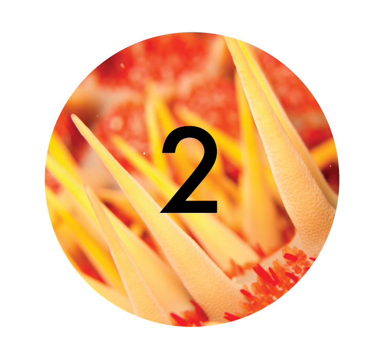 3-03.png