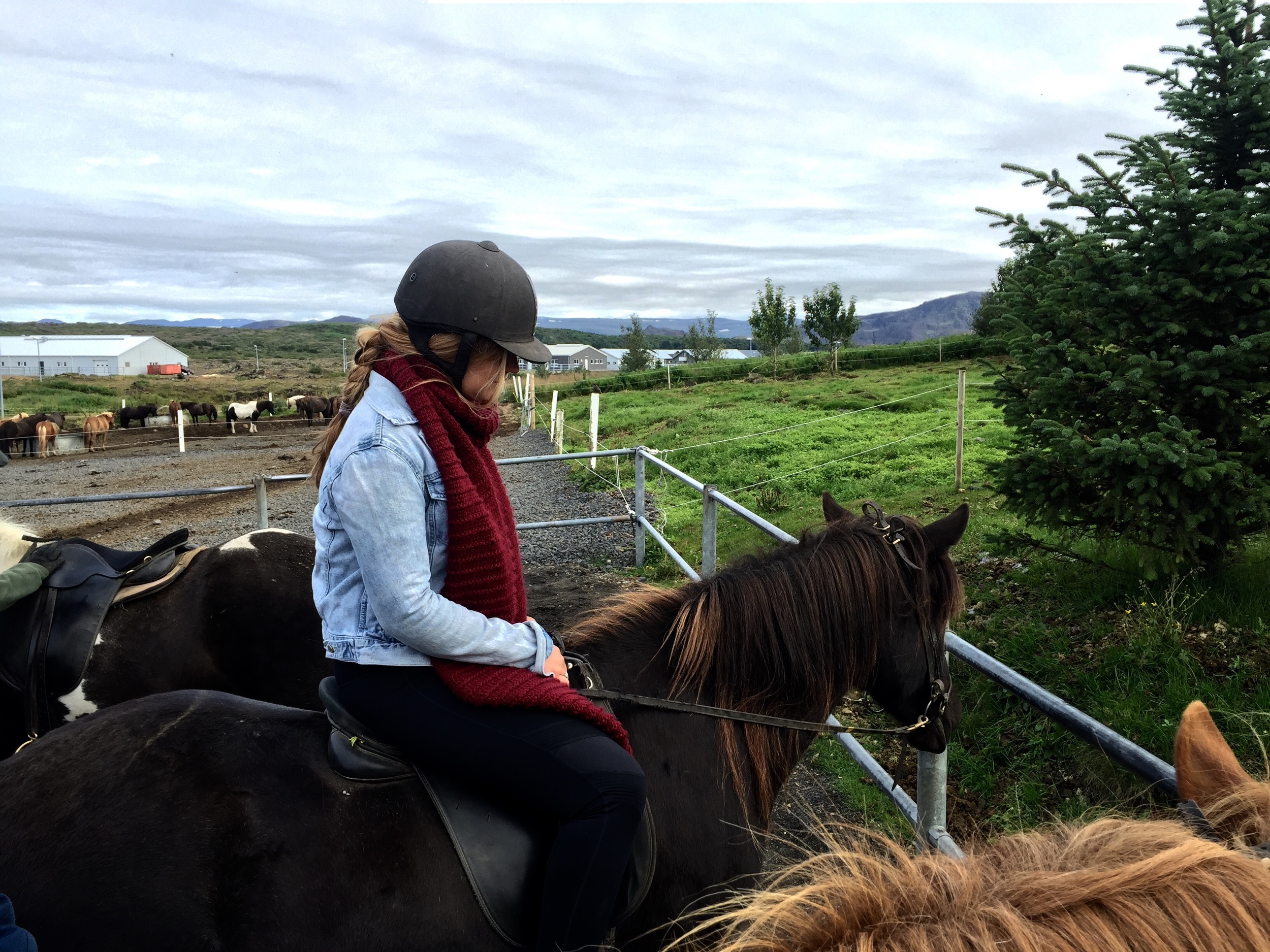 Krista on her Icelandic Horse, Hafnarfirði, Iceland