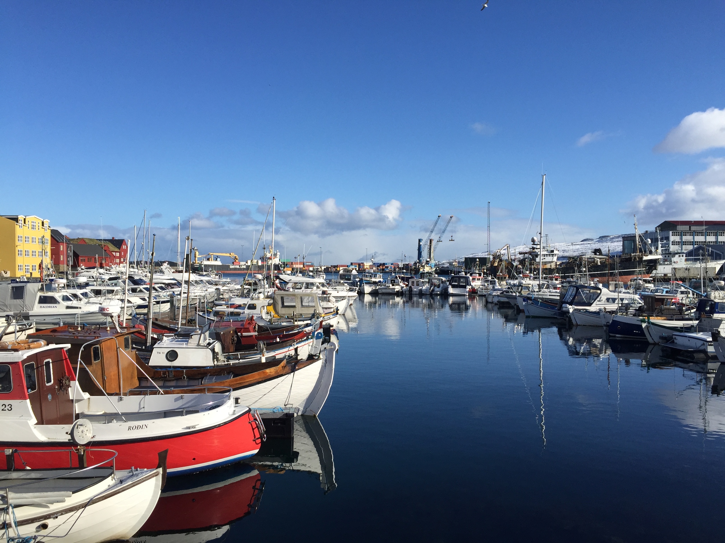 Tórshavn harbor 
