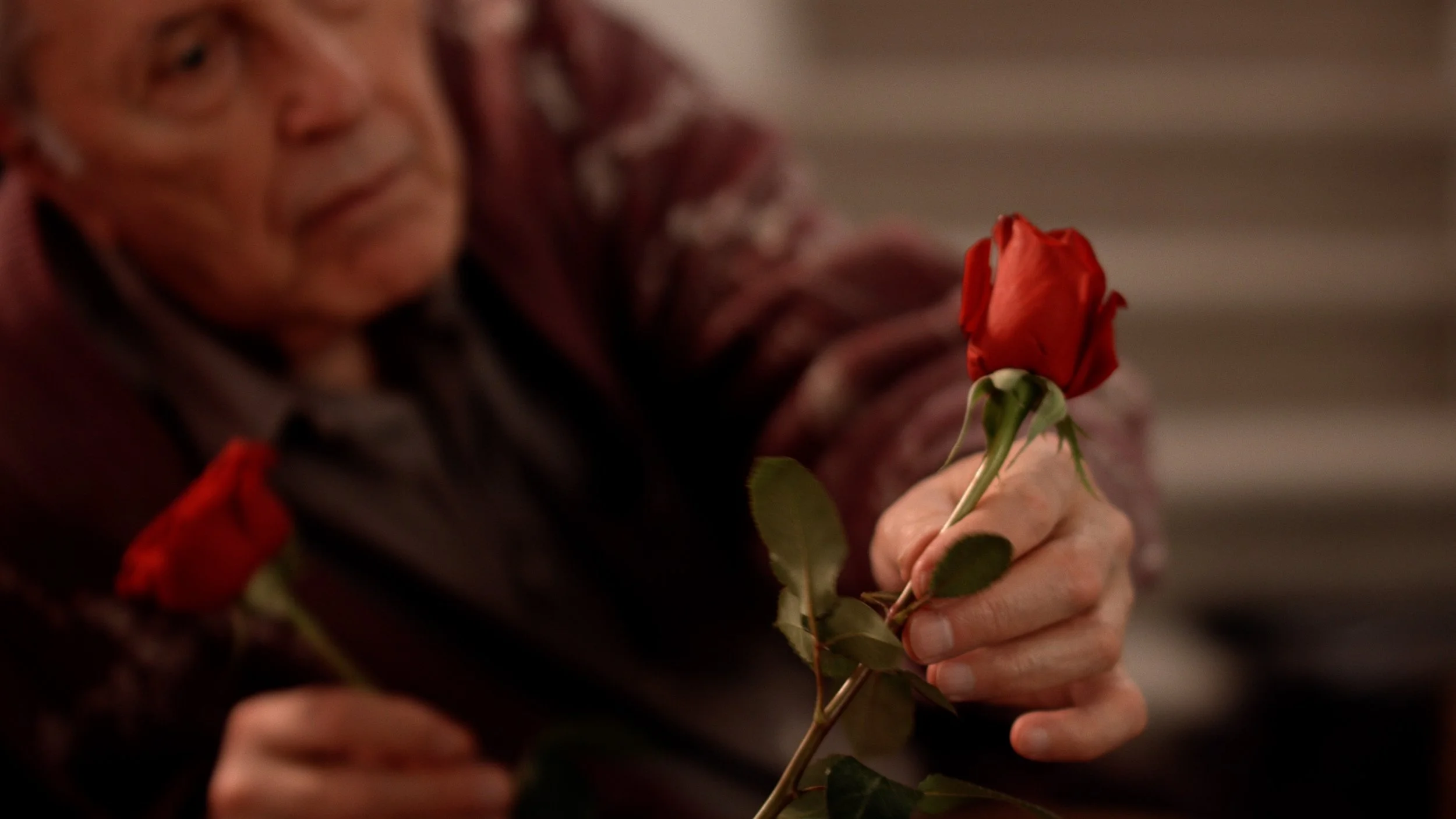Ahmed Alaa Hafez Andrew's Rose An old man misses his deceased wife. He misses her even more after scrolling through her photos on Facebook and decides to send her a message. An unexplained connection happens when someone starts replying to his message from the “other side”.