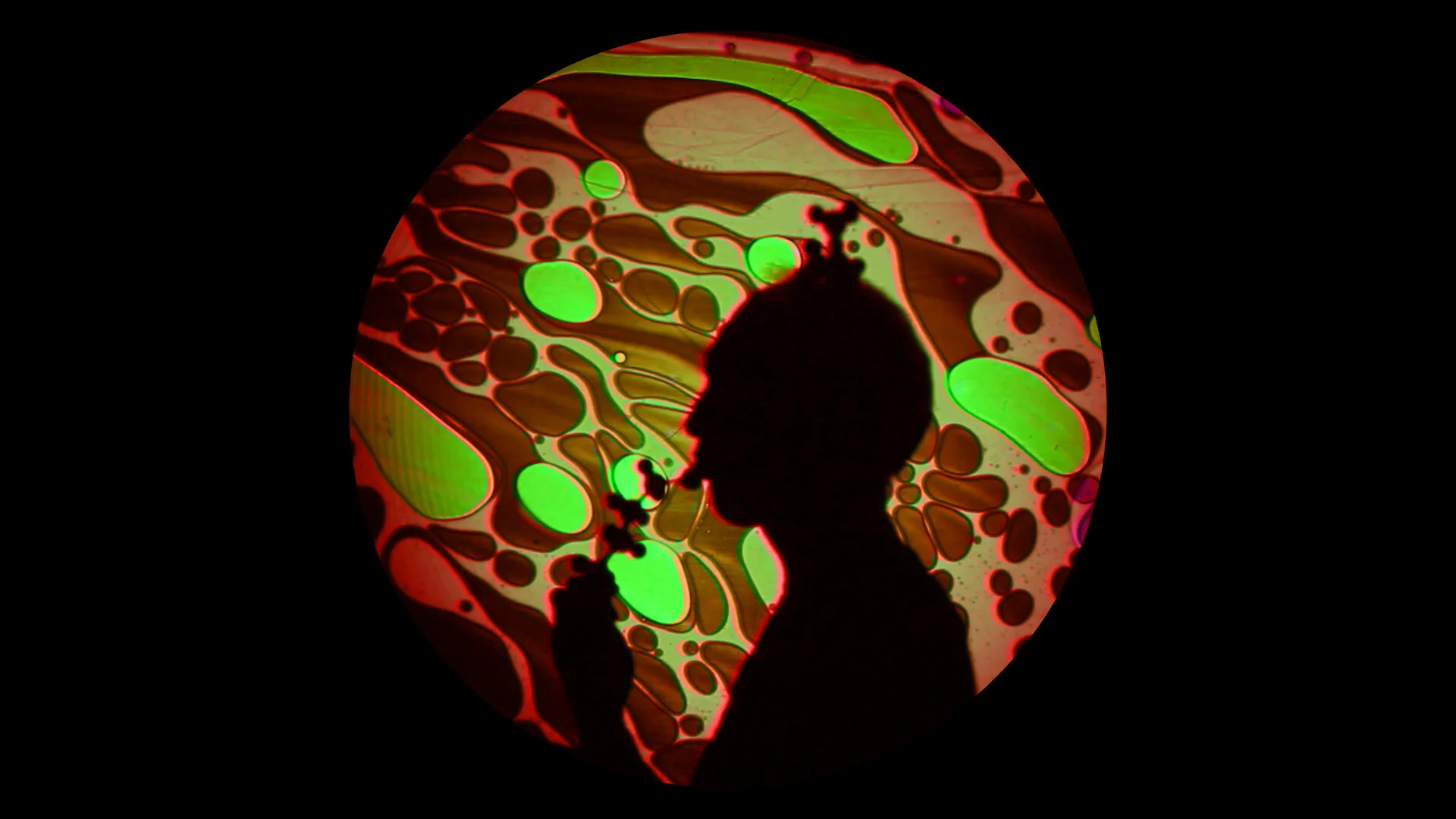 molecule snack 02.jpeg