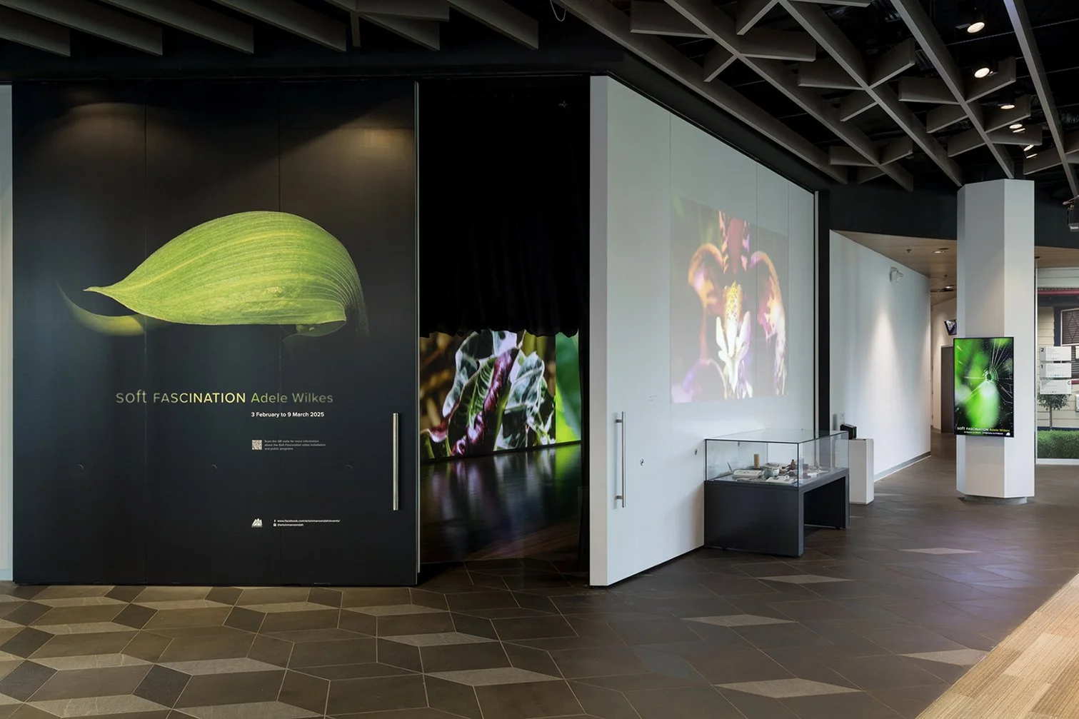 Install detail from Artspace exhibition 'Soft Fascination', 2025