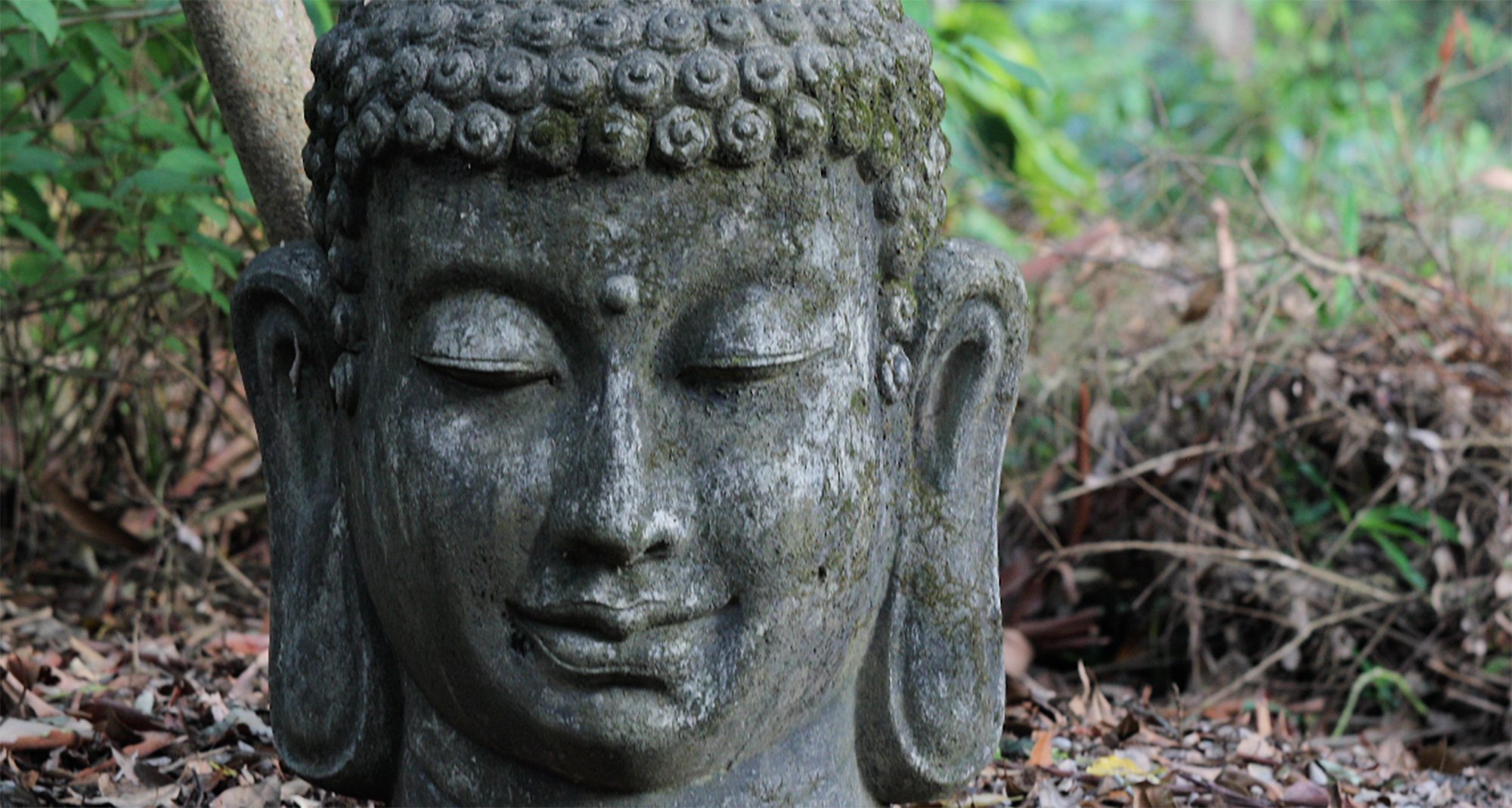 buddha.jpg
