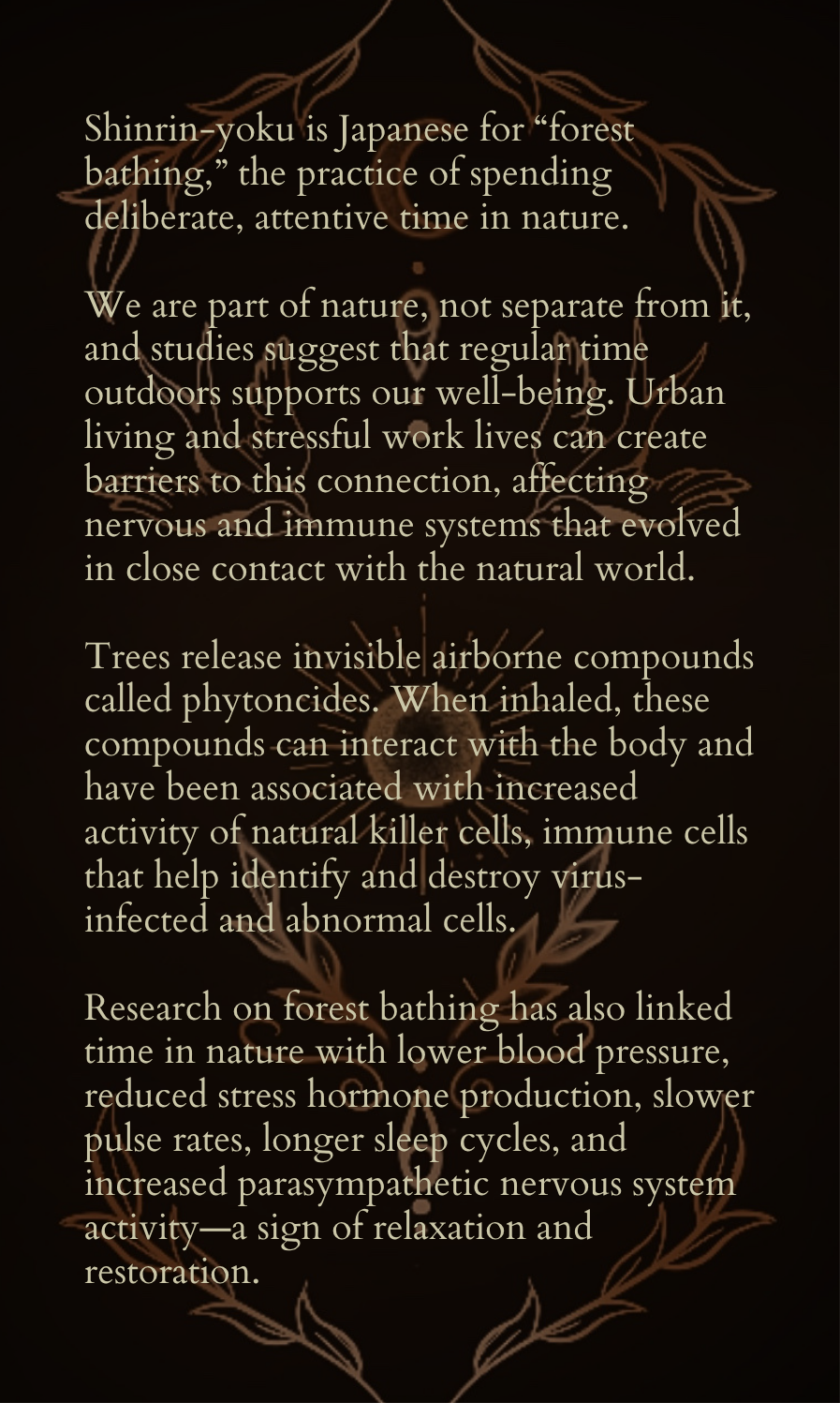 53.png (Copy)
