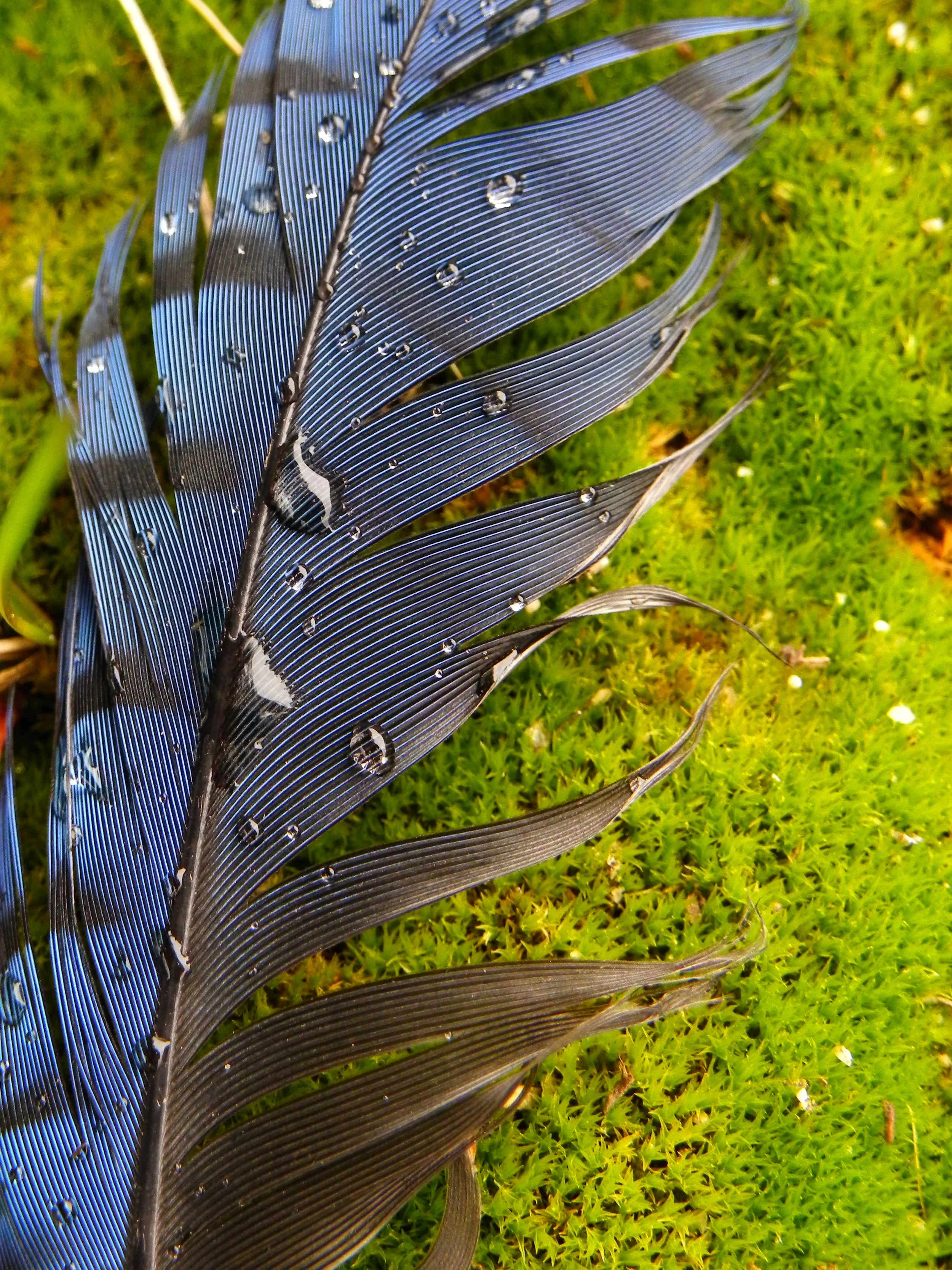 DSCN9825.JPG