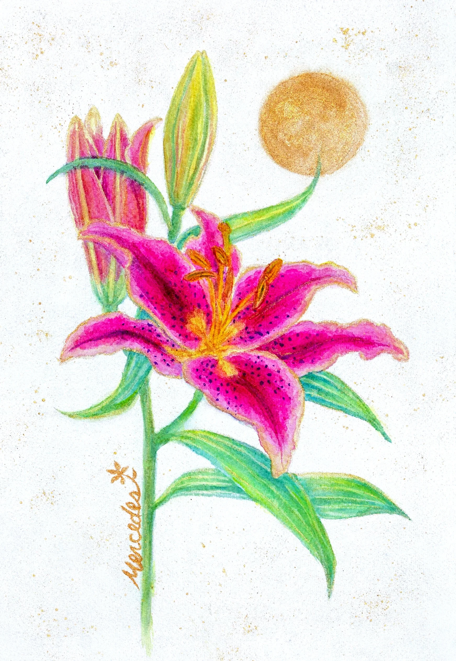 _Z4I0322 copy2OS copyYYY.jpg