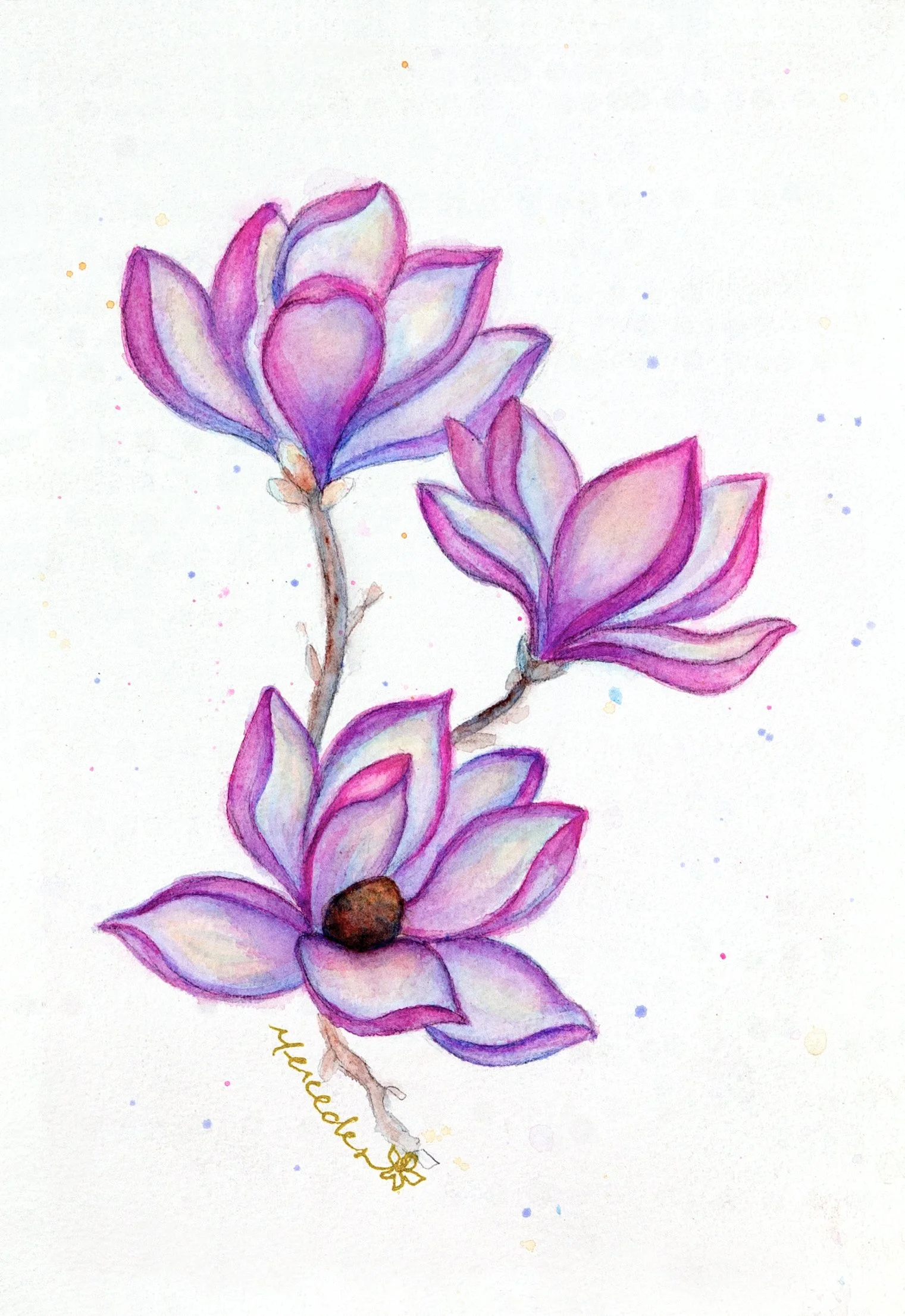 _Z4I0123 copyF01 copyAAA.jpg