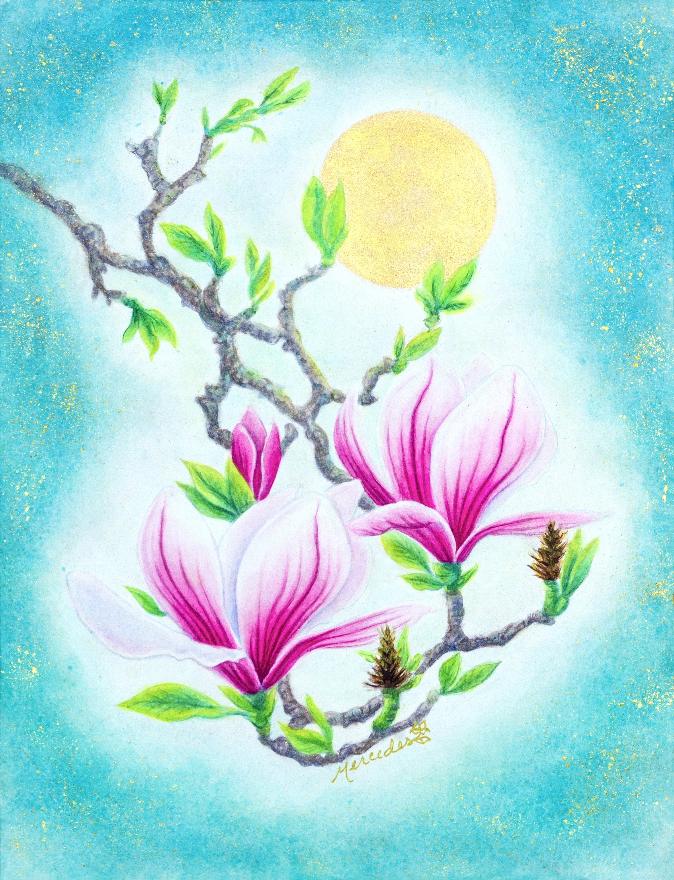 _Z4I0233 copy 2AAA.jpg