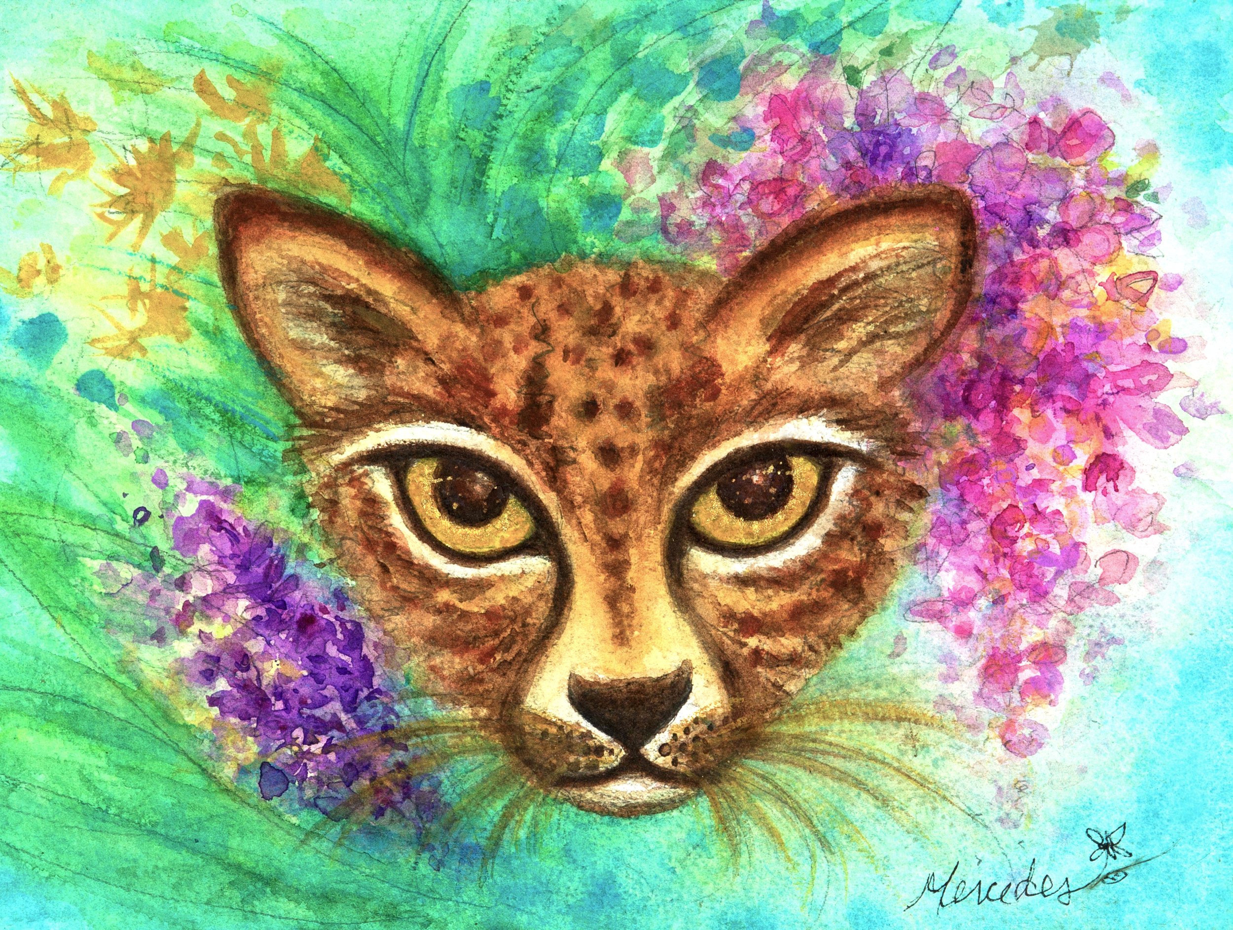 _Z4I9860 copyOS copy 2ZZZFINAL.jpg