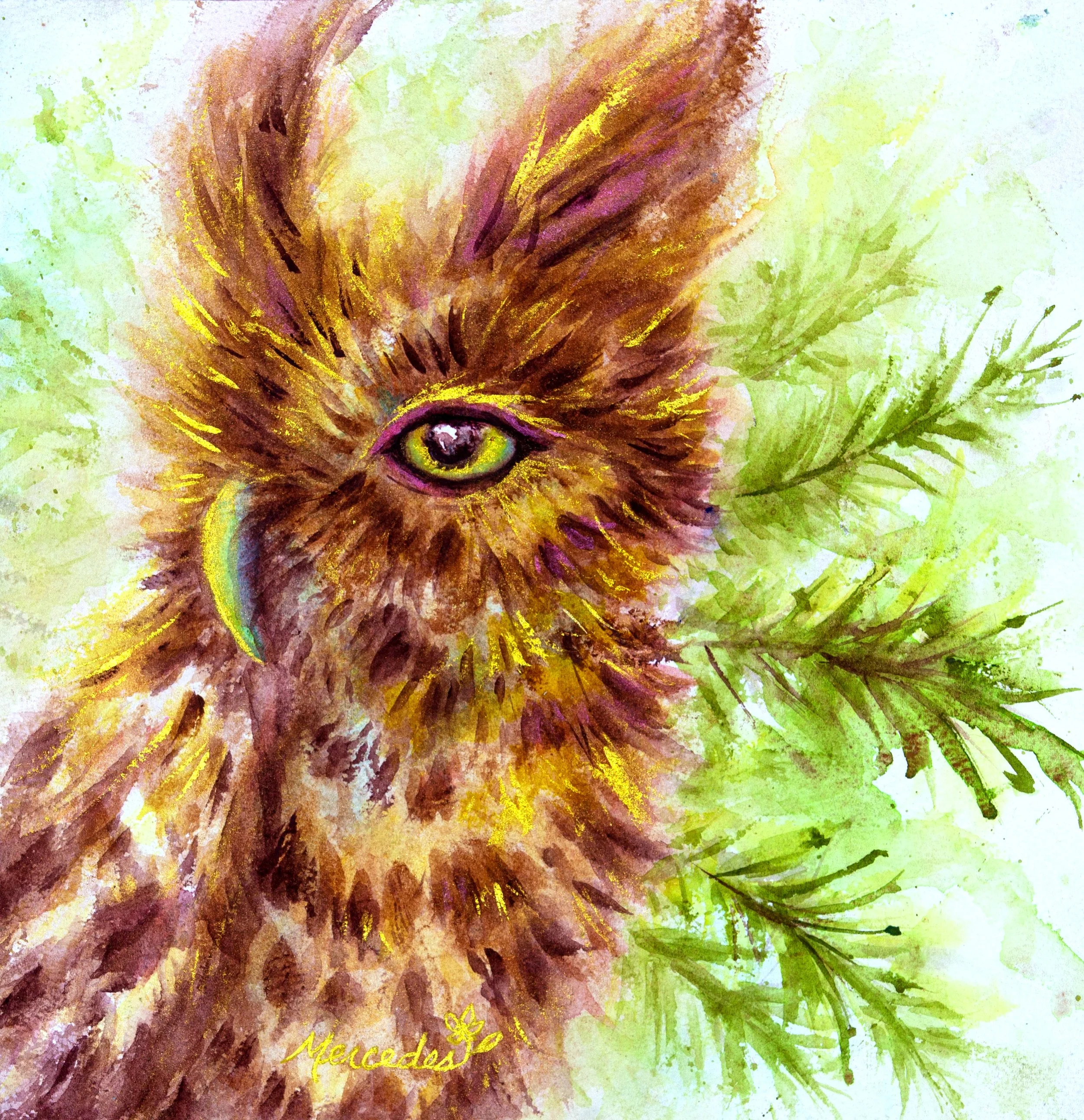 _Z4I0326 copyAAA copyBB.jpg