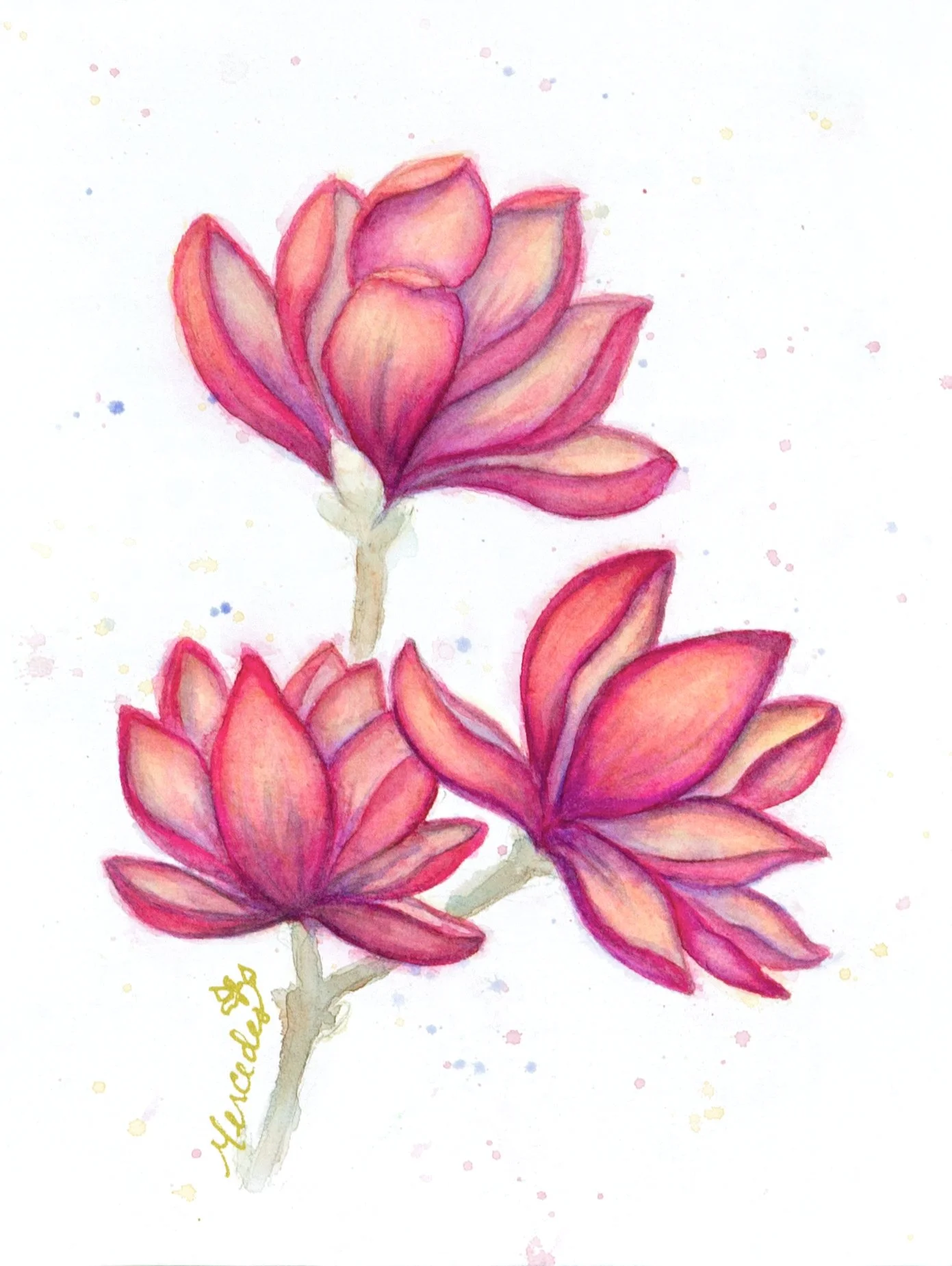 _Z4I0127 copyOS copyAAA copy.jpg