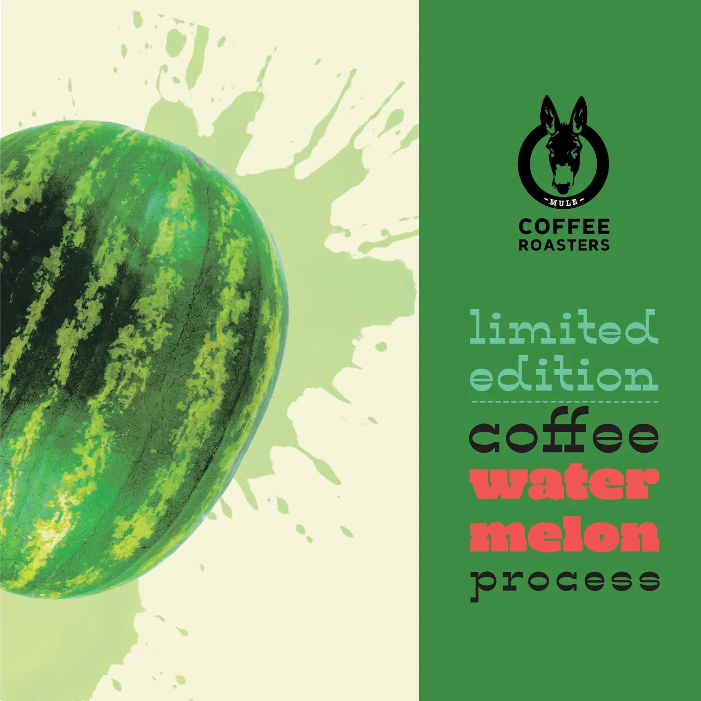 Single Origin - Watermelon Process