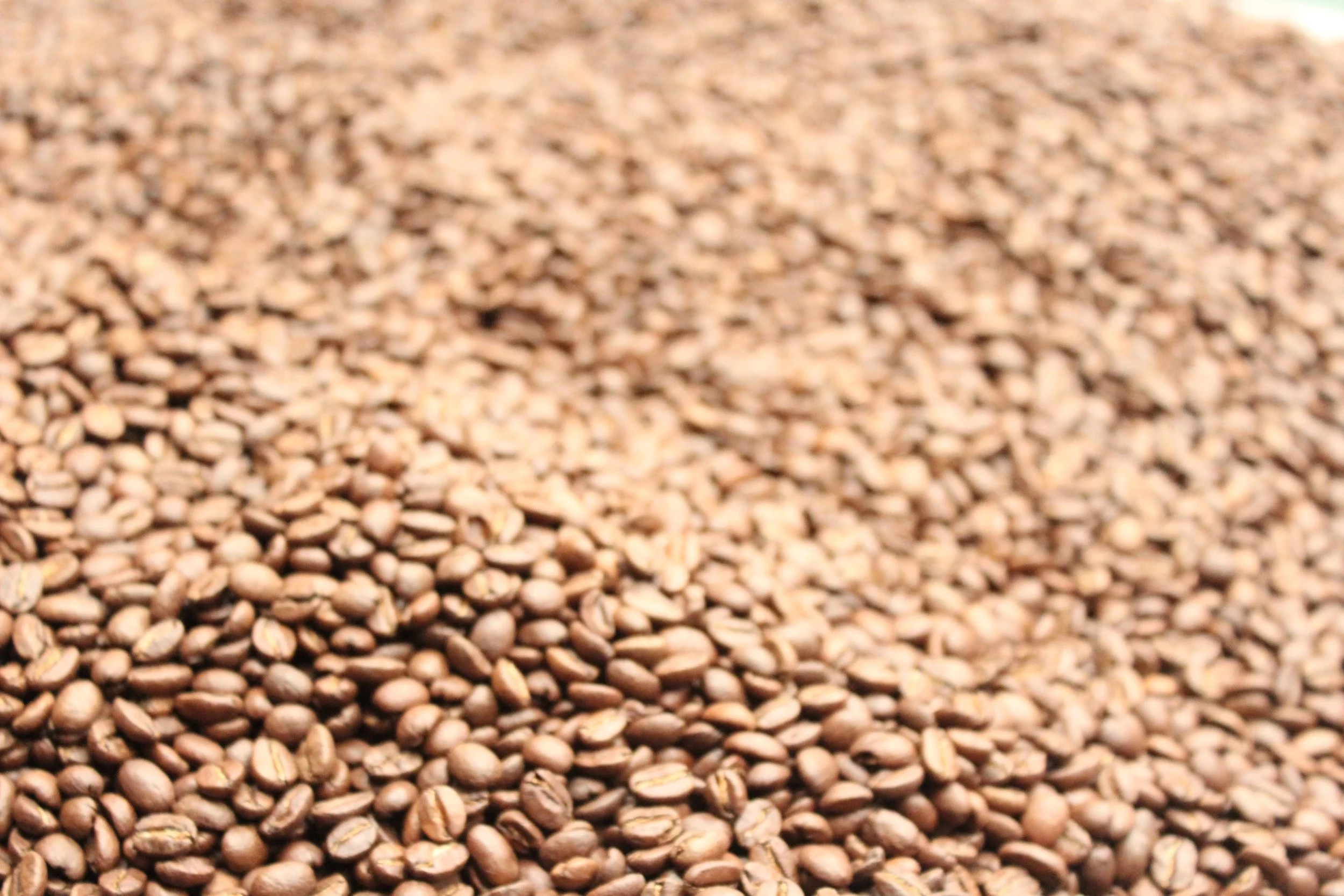 SUBSCRIPTION Signature Blend